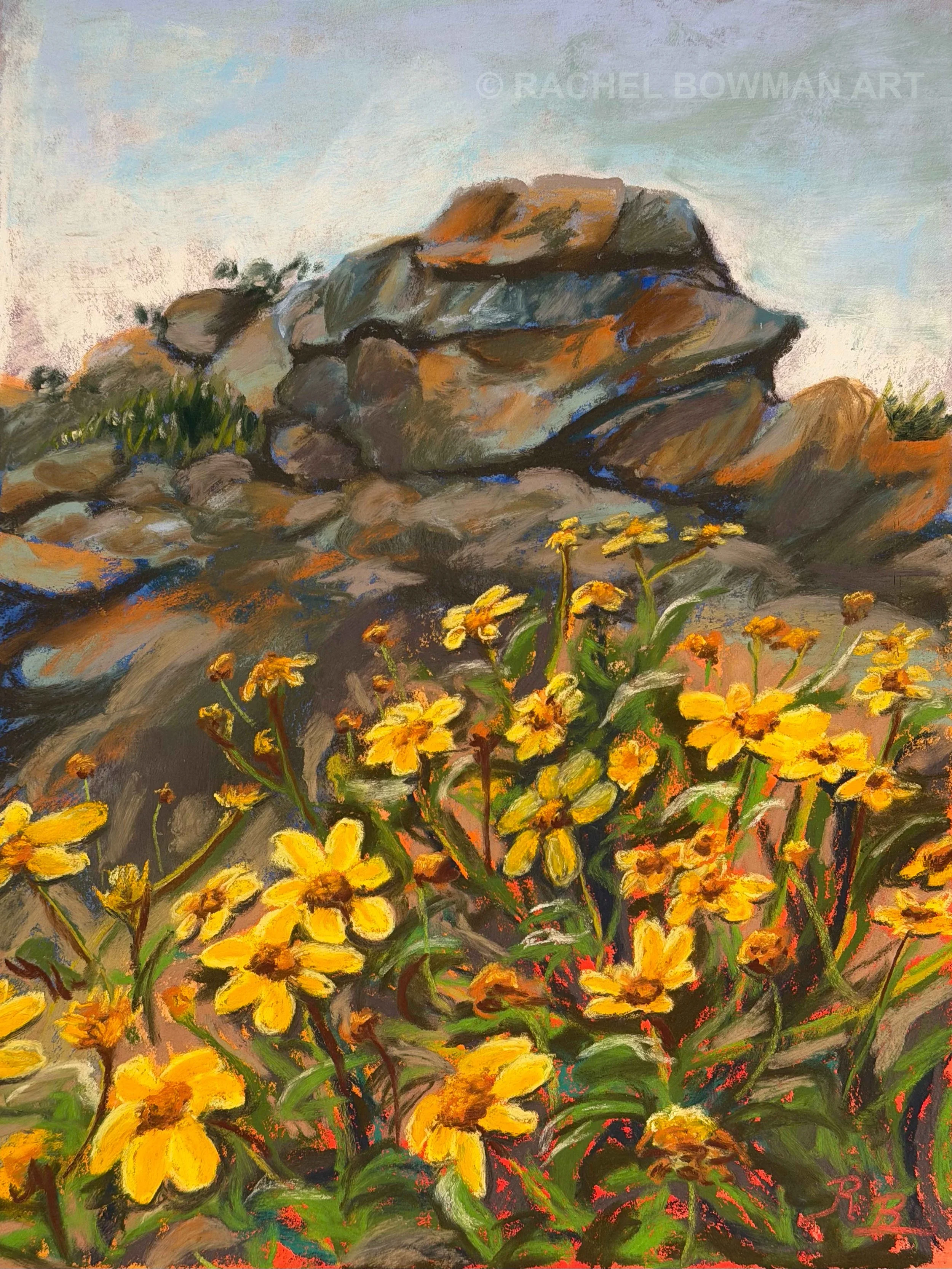 mission trails flowers.jpg