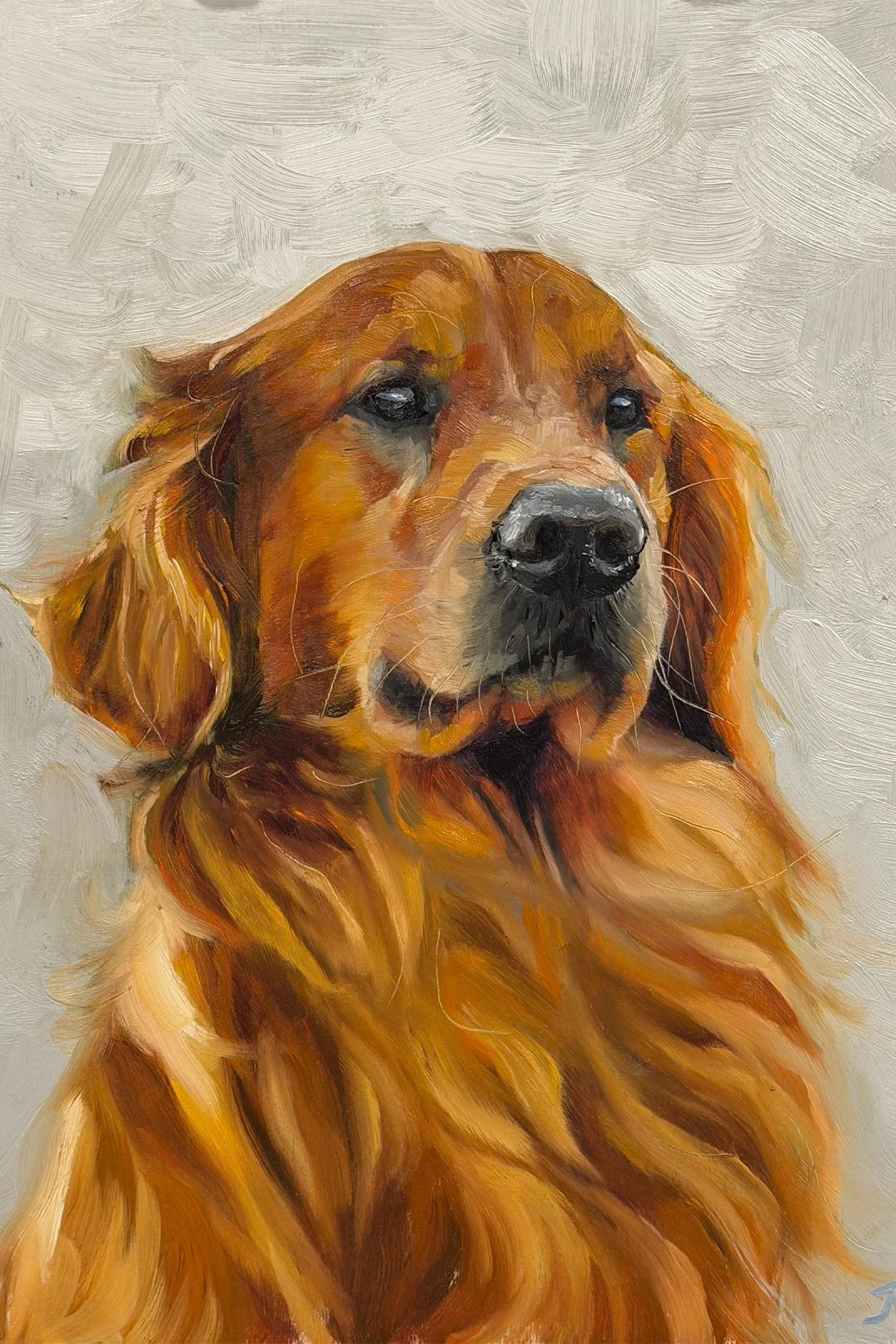 Golden, 8x10 (For Sale)