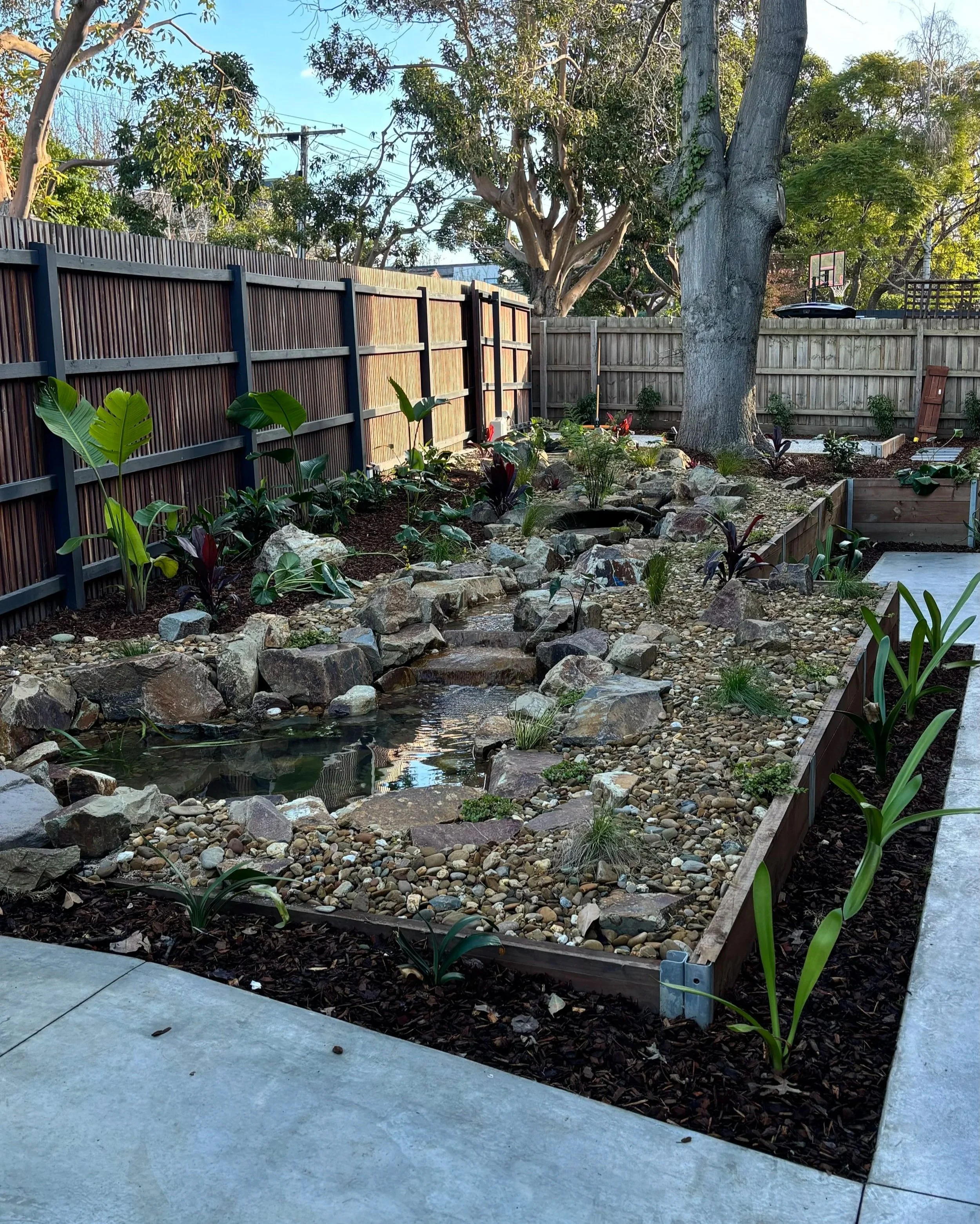 A landscaped backyard garden with a small stream running through rocks. There are various plants, a large tree, two fences on either side, and a concrete patio area in the foreground.