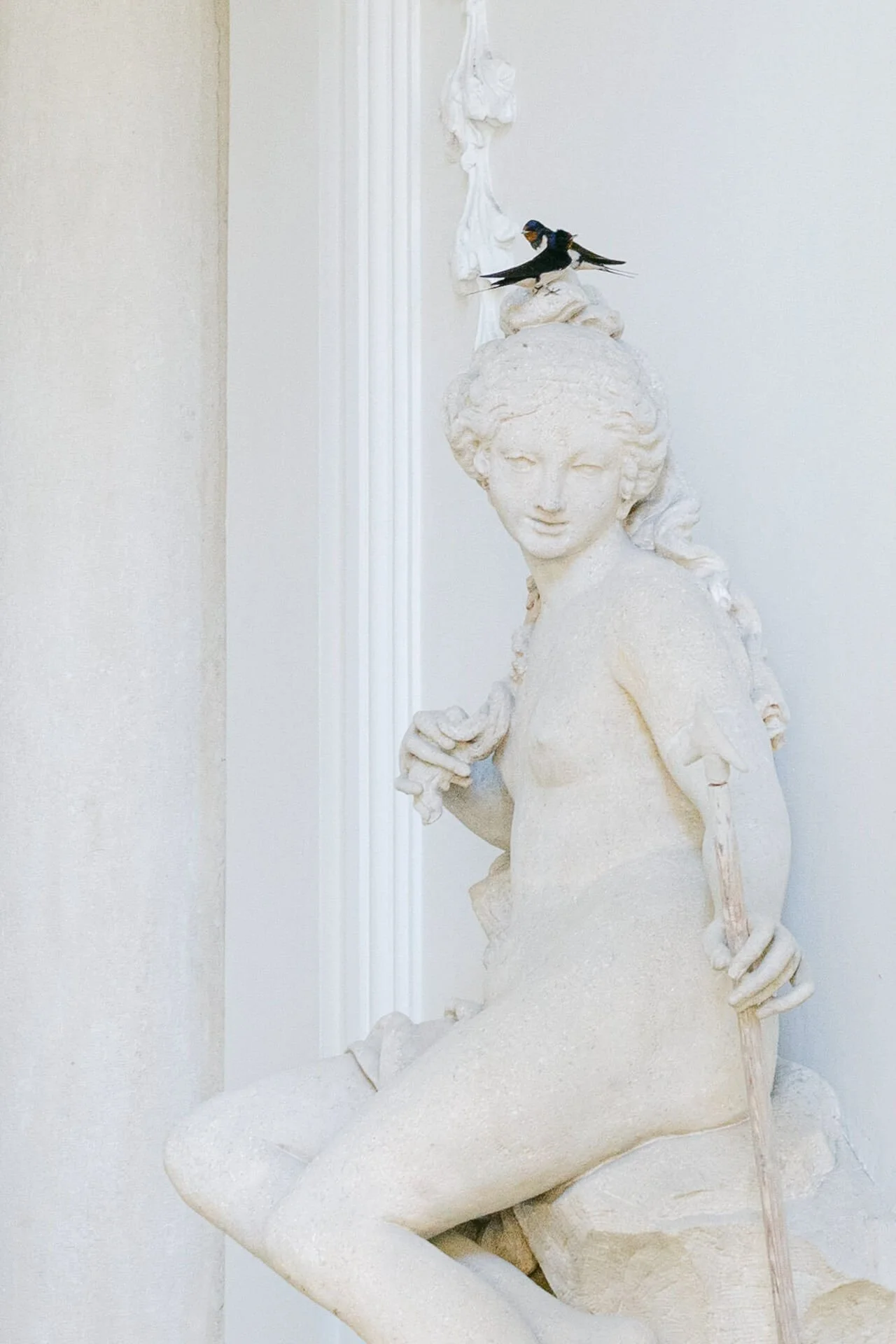 mariage-château-eckartsau-9.jpg