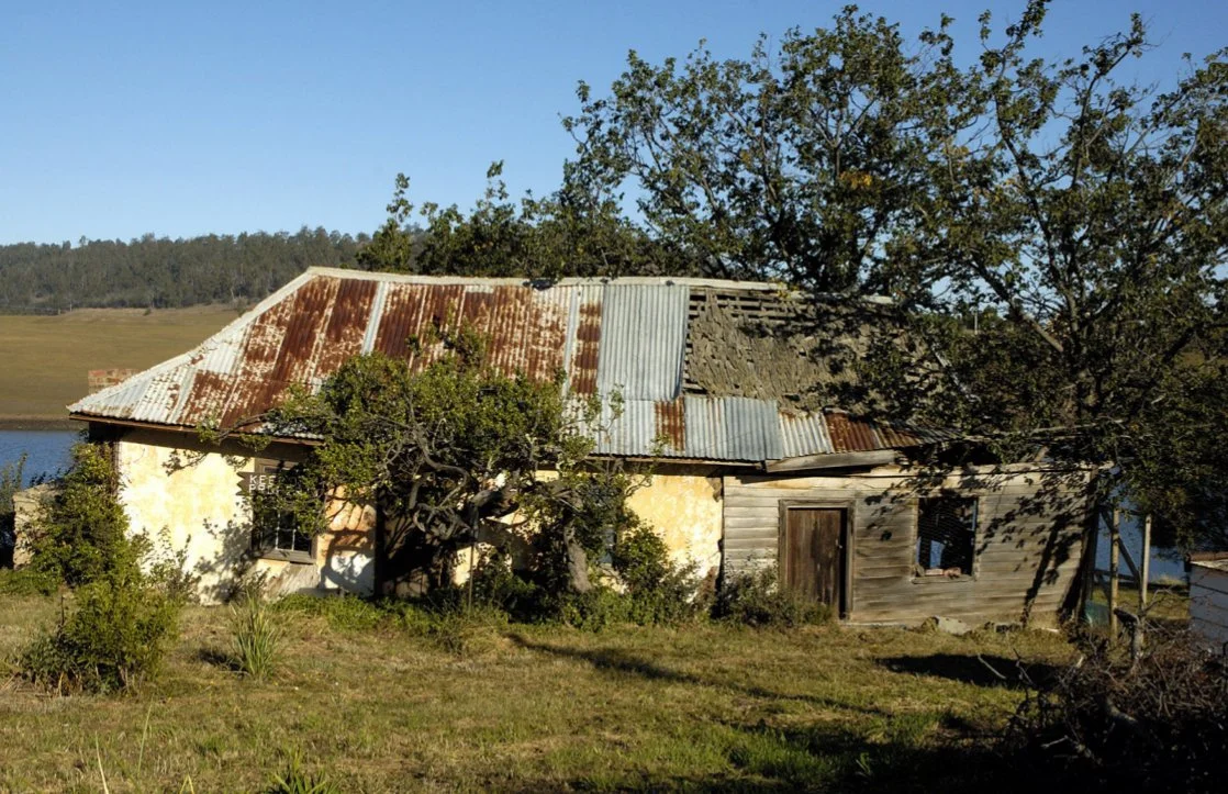 An old, dilapidated house with a rusted and damaged metal roof, surrounded by trees and overgrown vegetation.