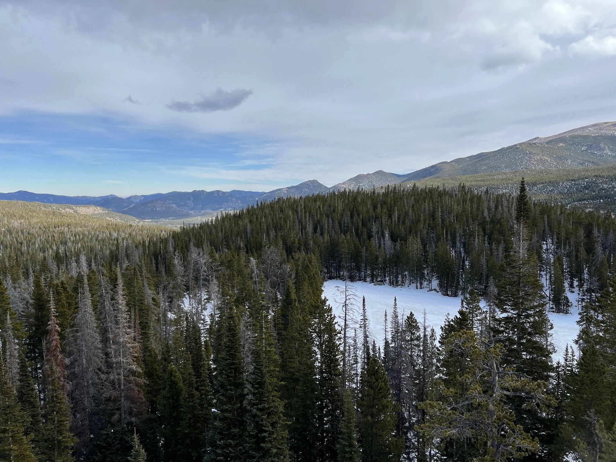scenery.jpeg