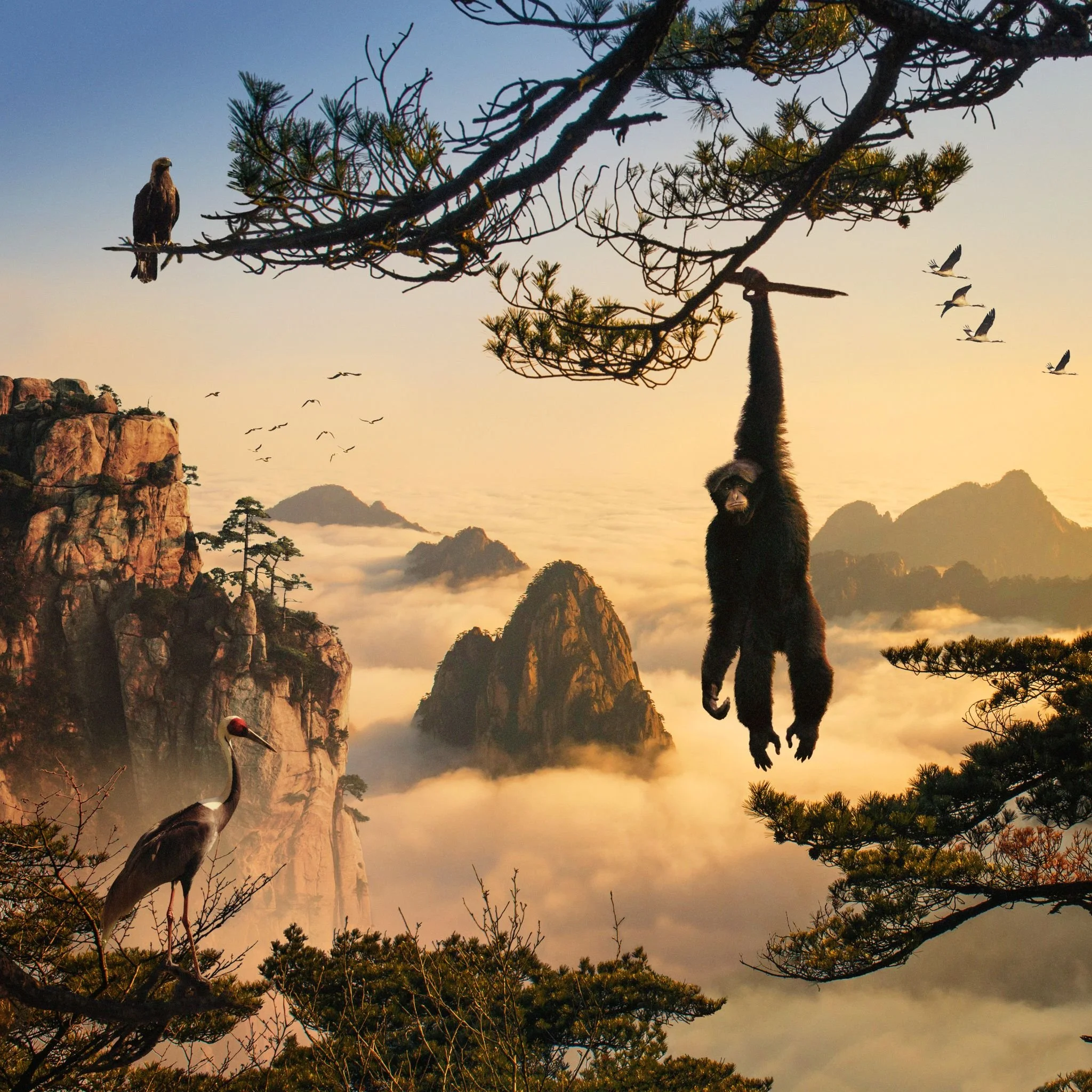 Related Video Item Thumbnail