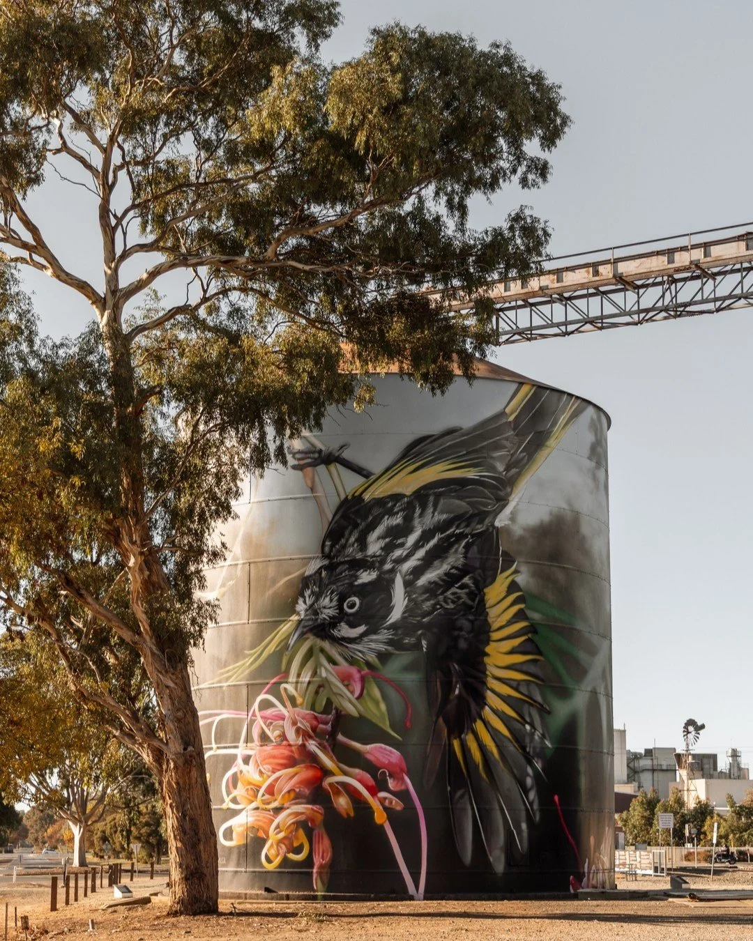 Afternoon light at the Rochester silos 🤌🏻 

2026 goal is to see more of our beautiful country 😍