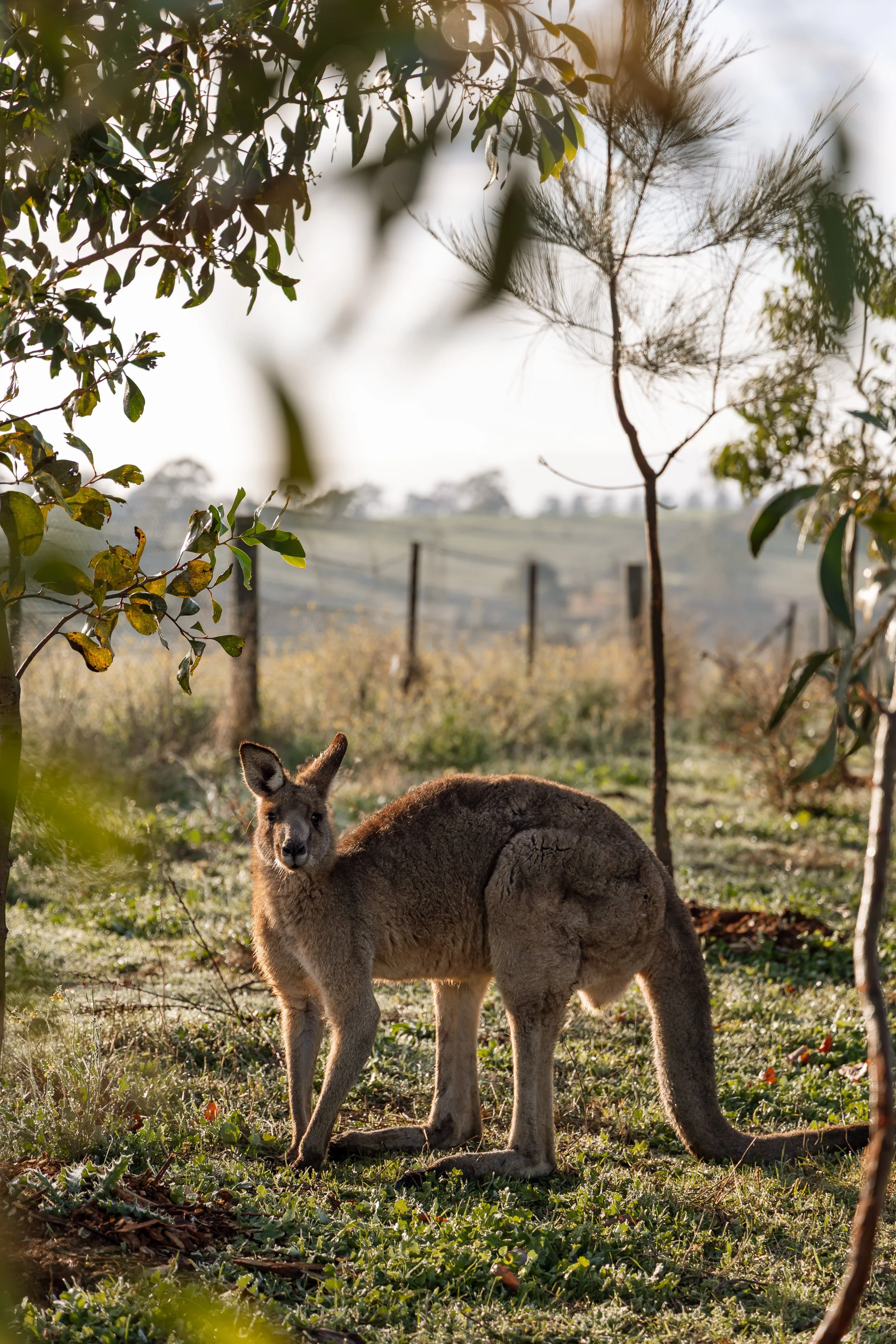 Gabriella Gunther Photography - October-4-2.jpg