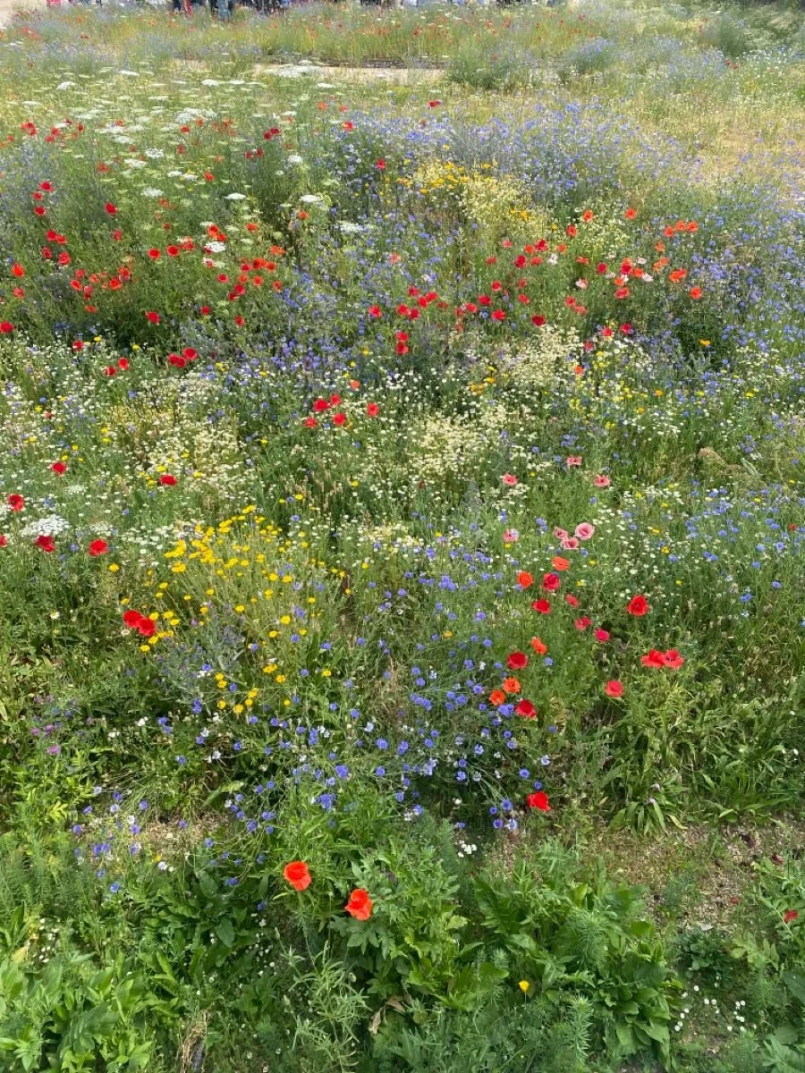 JOURNÉE BLOOM IN &amp; OUT