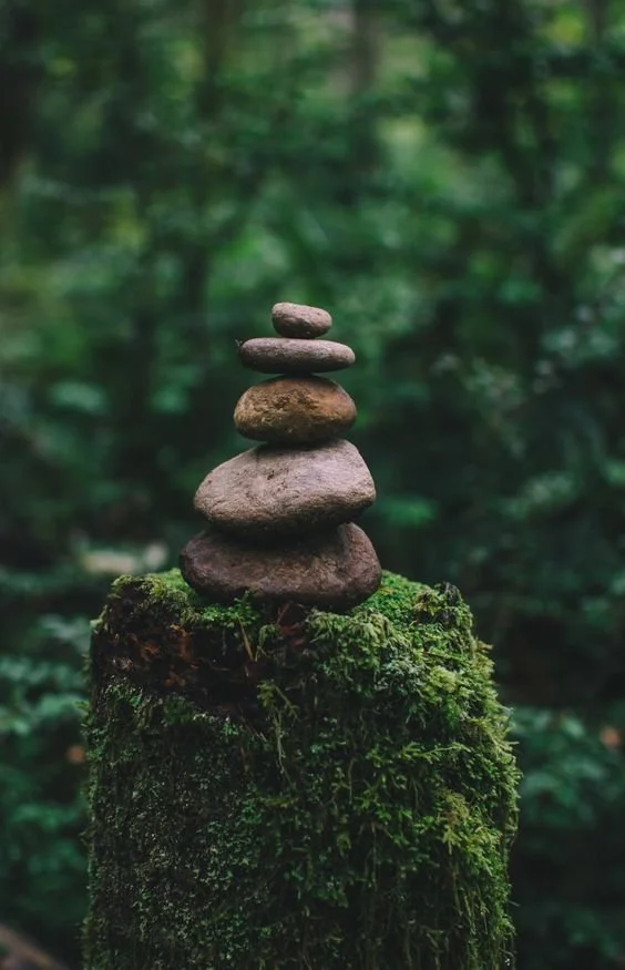 ATELIER THÉMATIQUE : RETROUVER LE REPOS, APPRIVOISER L'ANXIÉTÉ