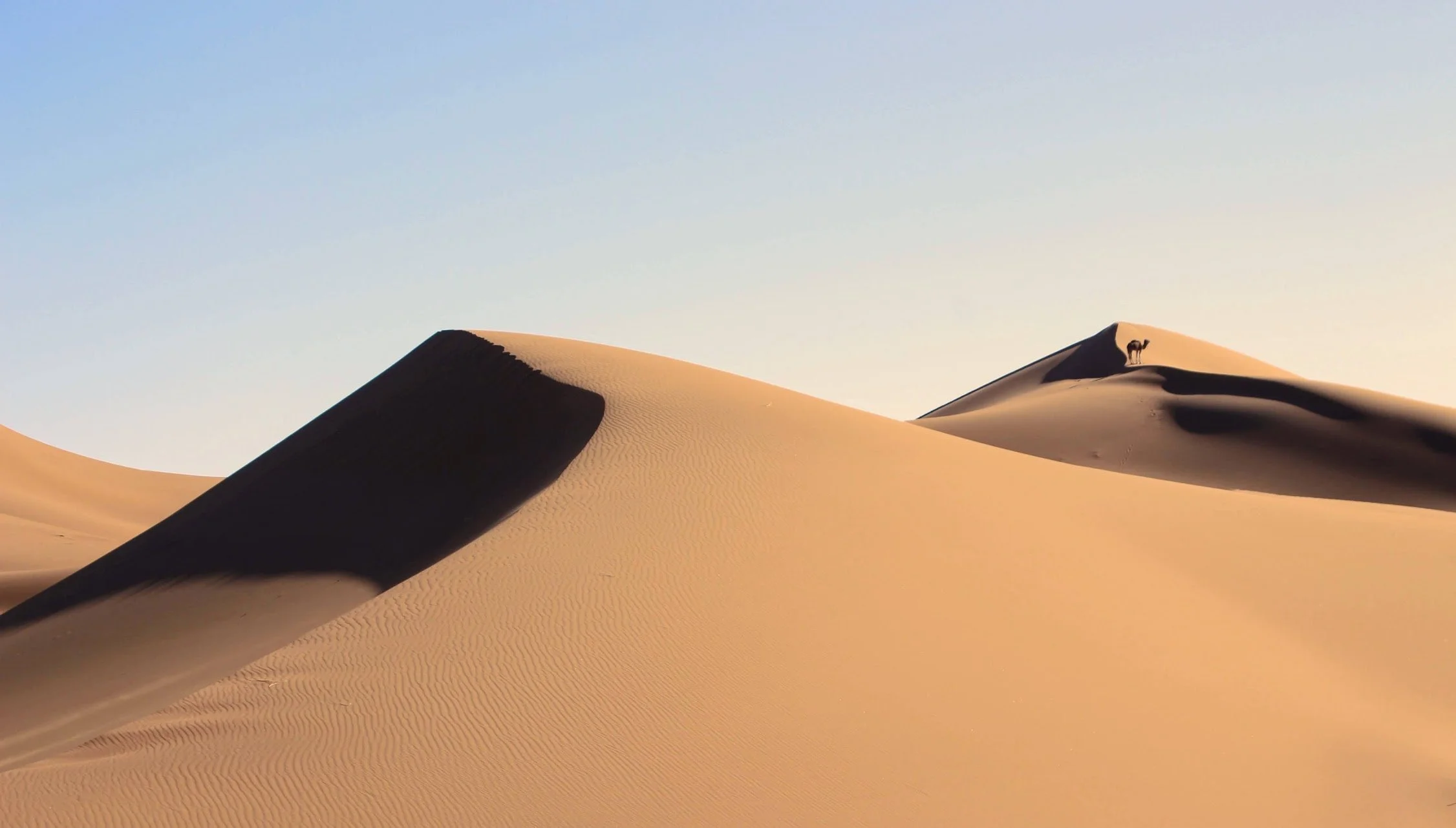 Son, souffle et présence dans le désert du Sahara