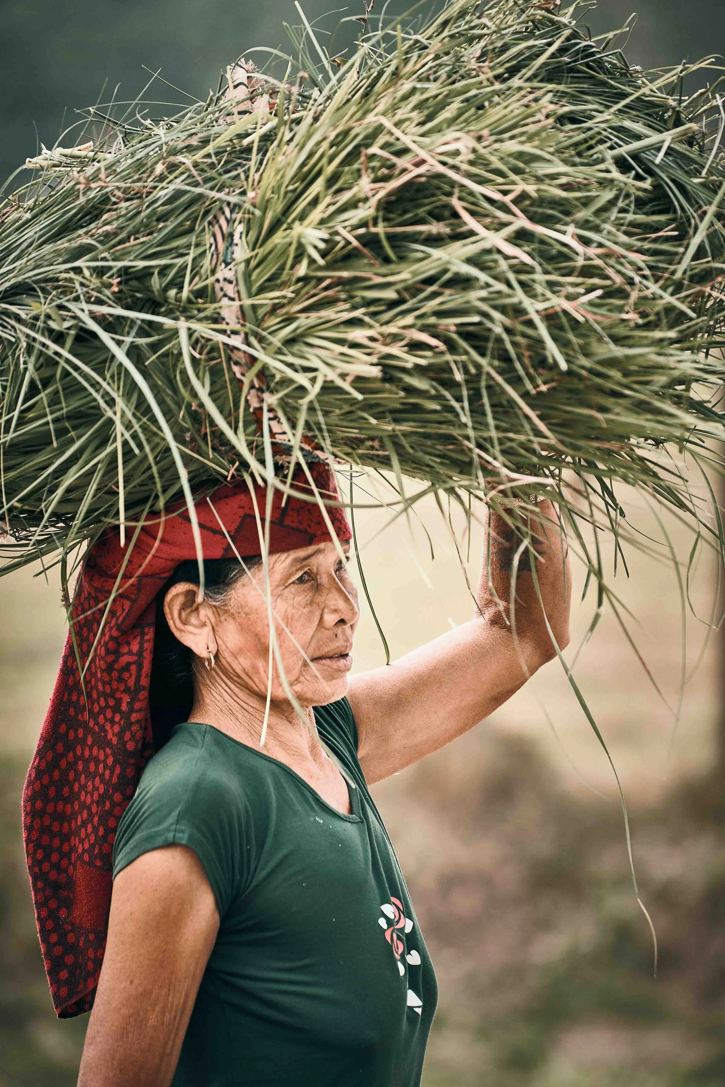 Nepal-Baeurin_©Thomas-Sattler.jpg