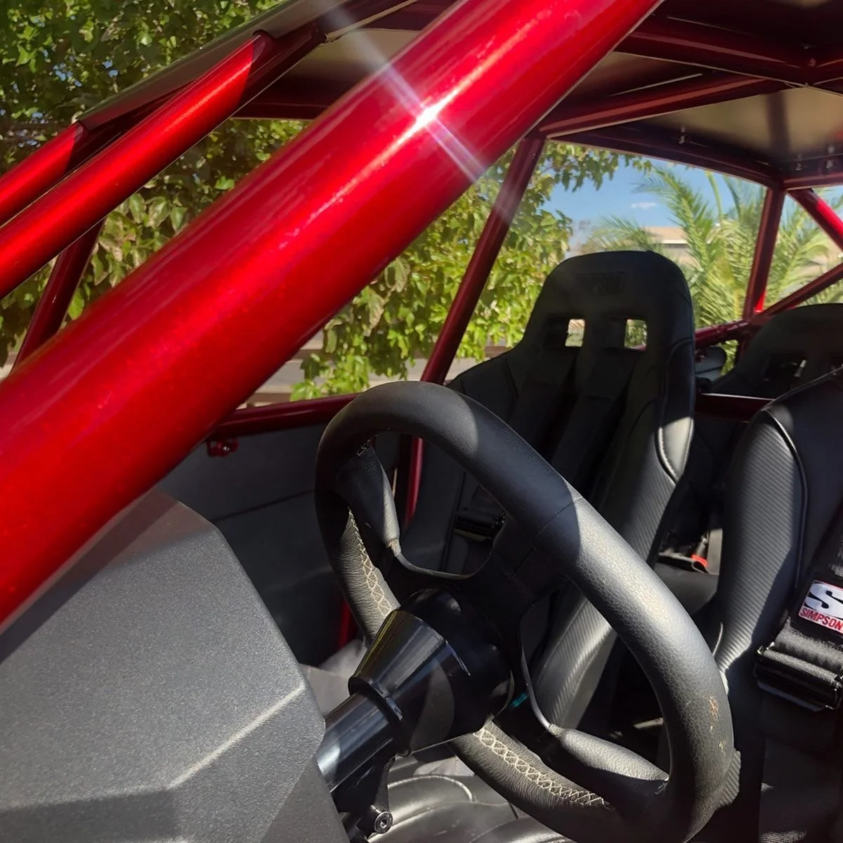 Interior view of a race car showing a black racing seat, steering wheel, red roll cage, and dashboard, with green foliage outside the car.