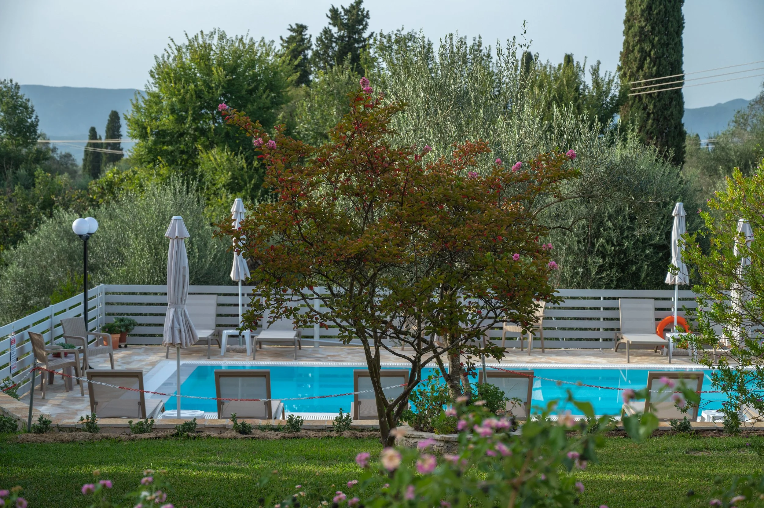 VAS_5285.jpg