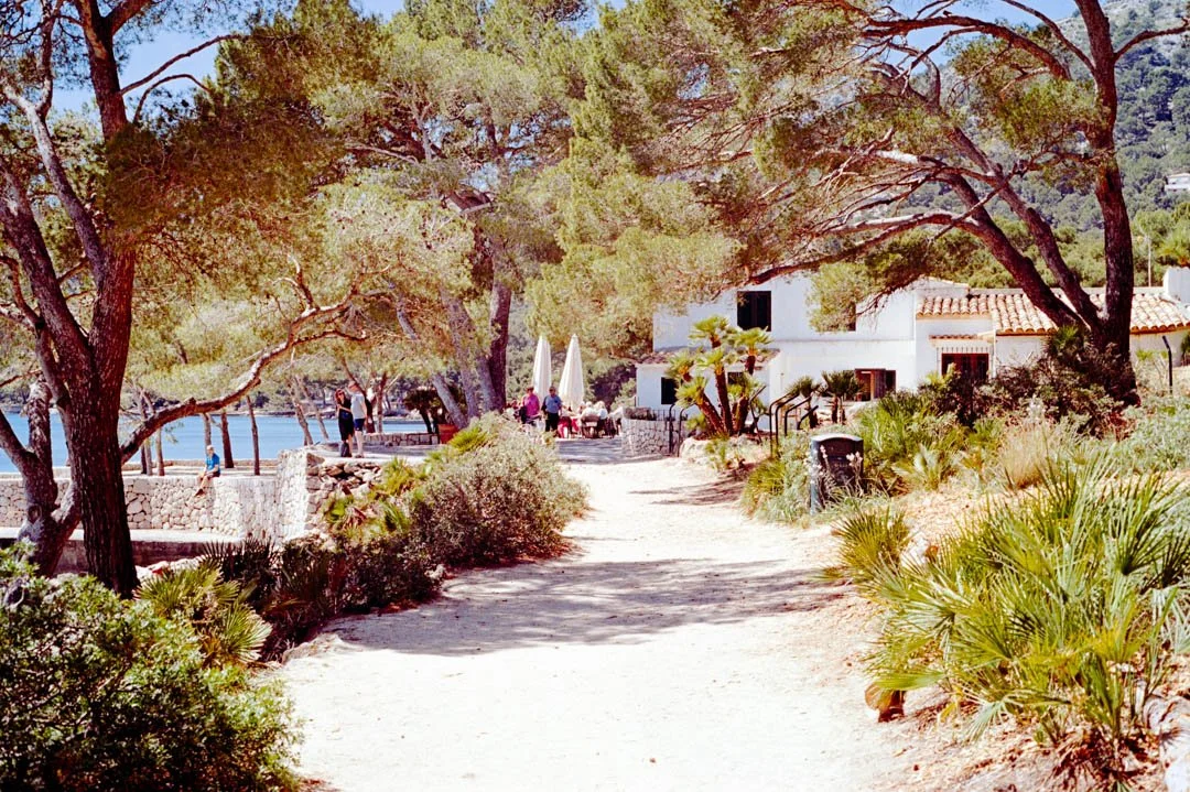 hotel with large tress over roof near beach, formentor peninsula