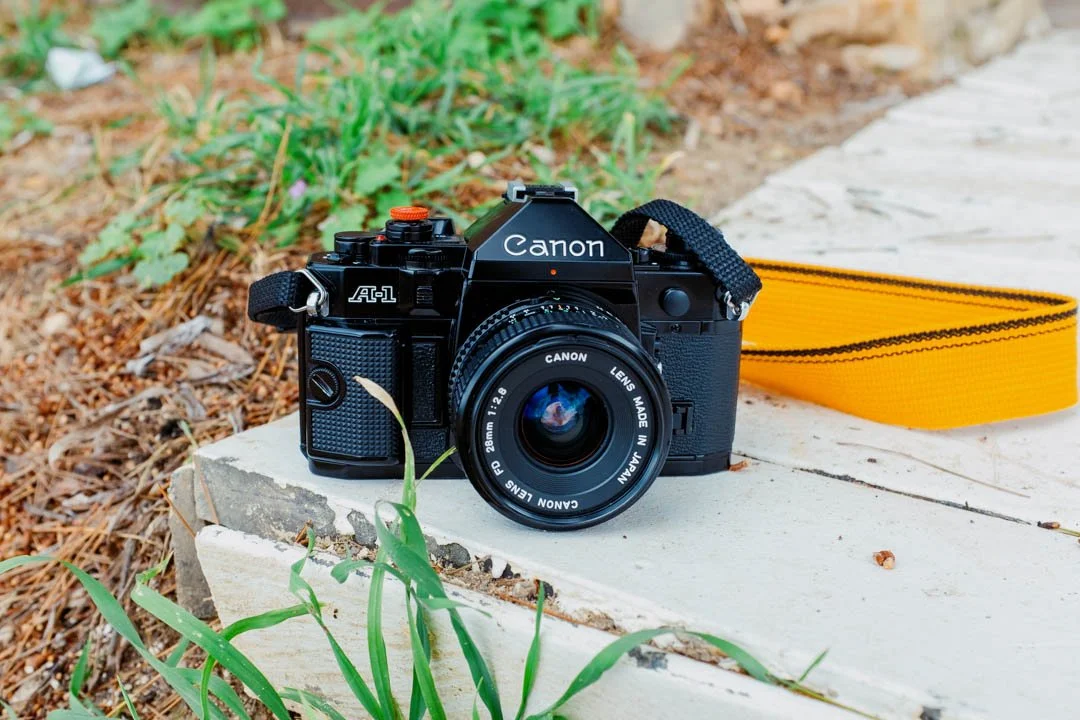 Canon A-1 film camera amongst green foliage