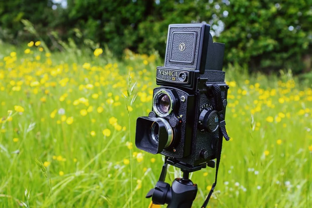 TLR film camera Yashica on tripod in field