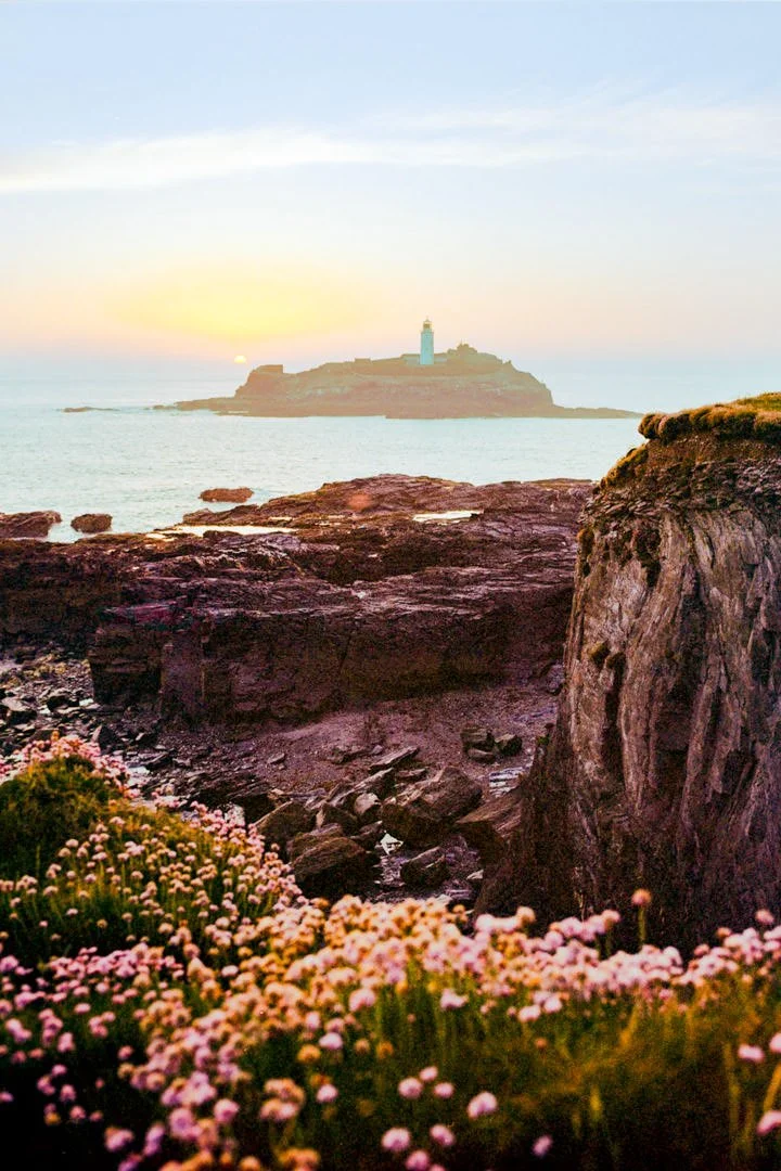 Sunset over the ocean with a lighthouse on an island in the distance, rocky shoreline in the foreground, and pink flowers in the foreground.