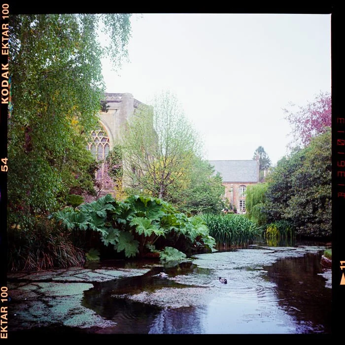 wells cathedral somerset, Kodak ektar medium format