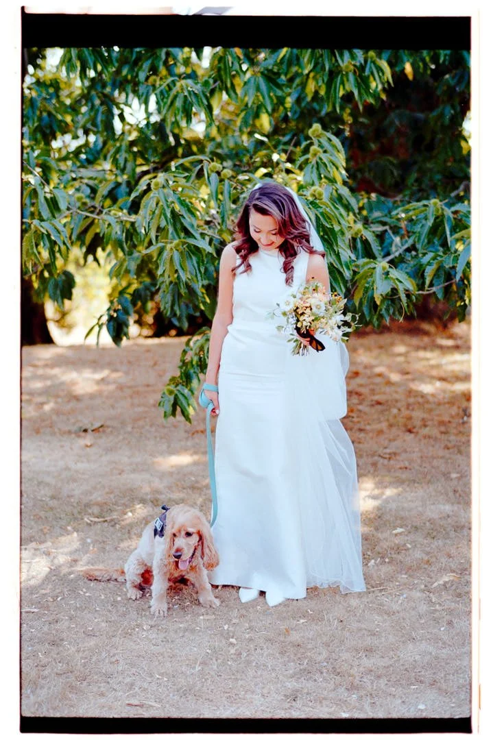 Somerset wedding photographer hestercombe house