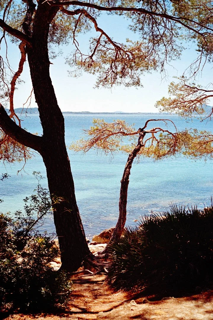 golden sand and blue ocean, formentor Majorca