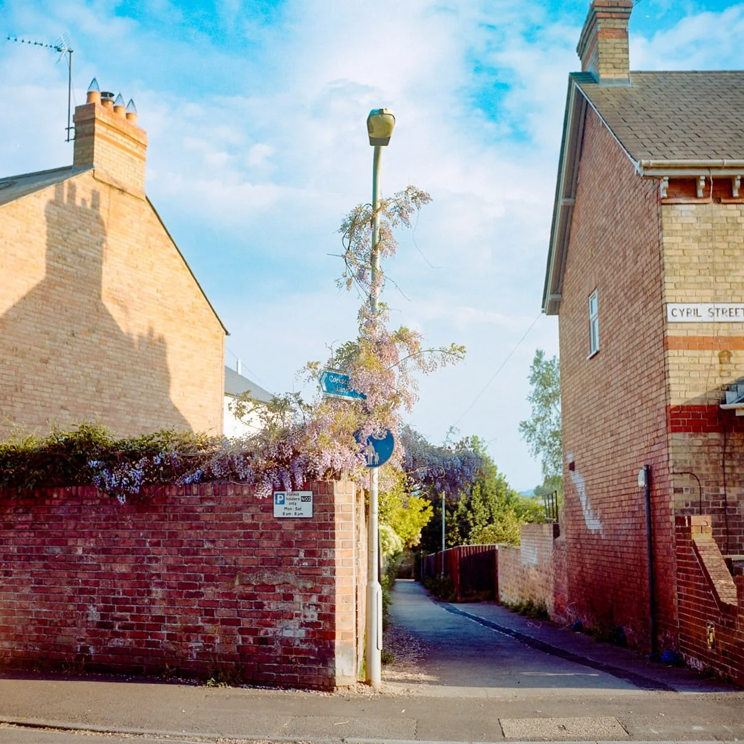 A narrow alleyway between brick houses with flowering vines on a street corner under a blue sky.