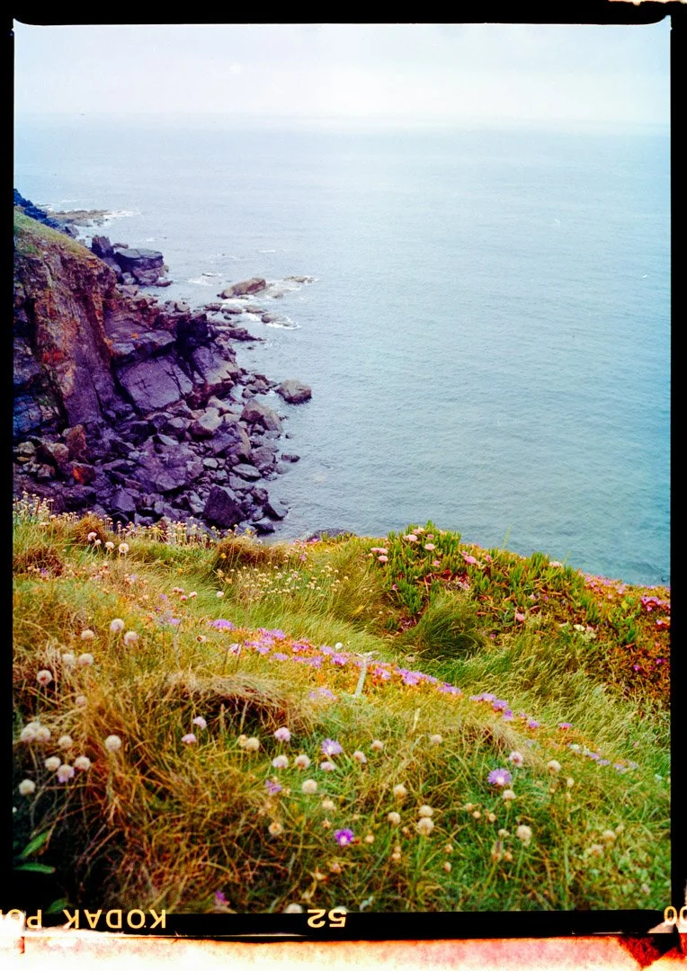 Cliffside view of a rocky coastline with ocean in the background and wildflowers on the grassy slope in the foreground.
