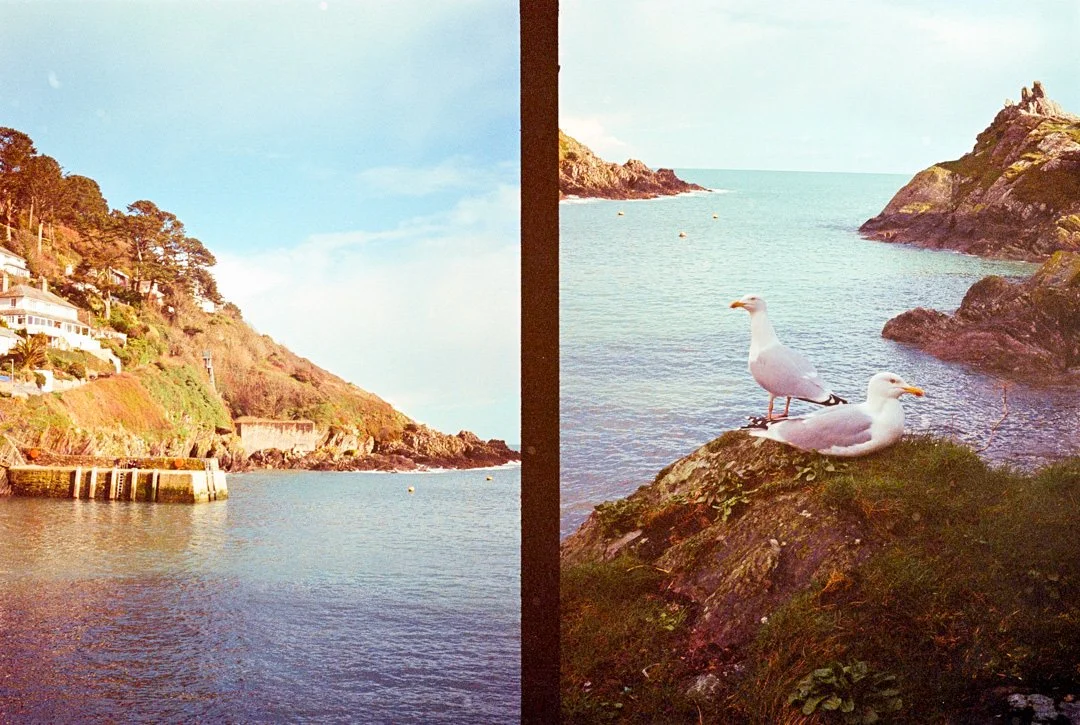half frame film camera