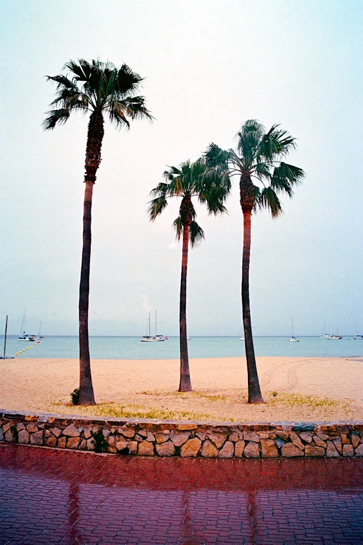 Canon A-1 film photo