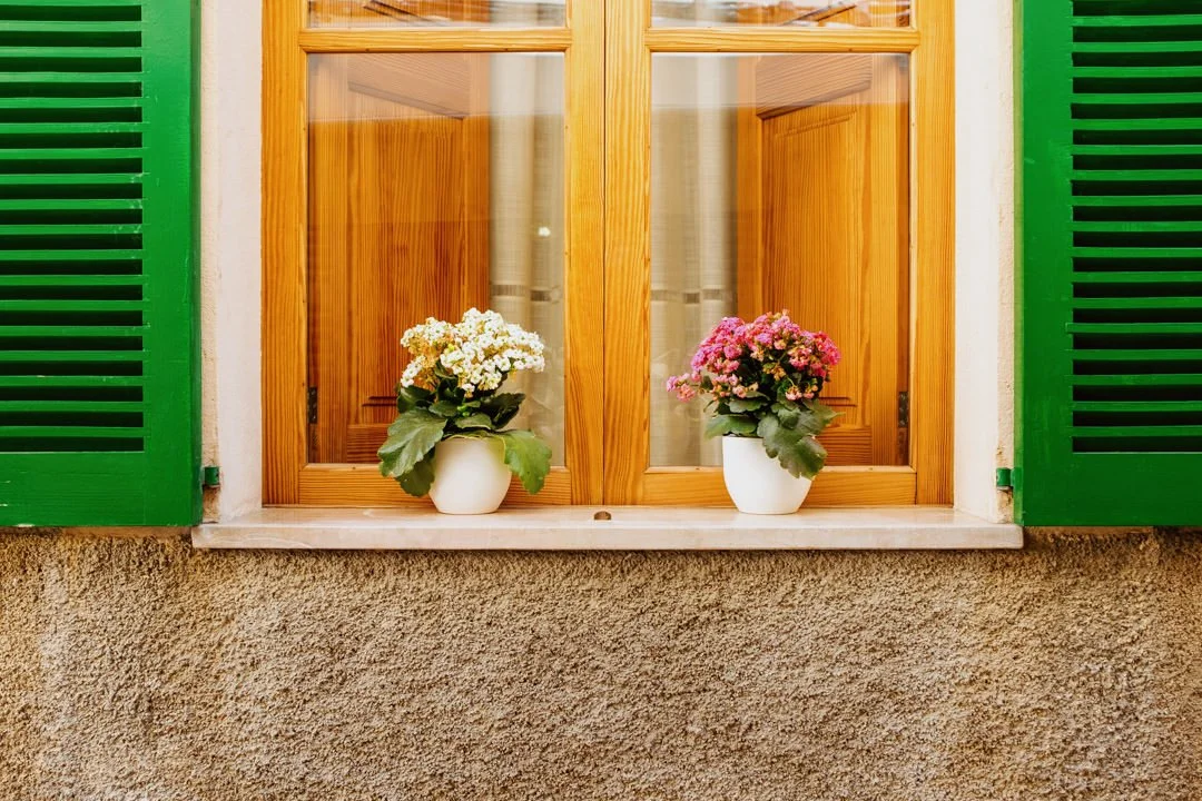 two white pots with flowers on windows sill, Alcudia Market