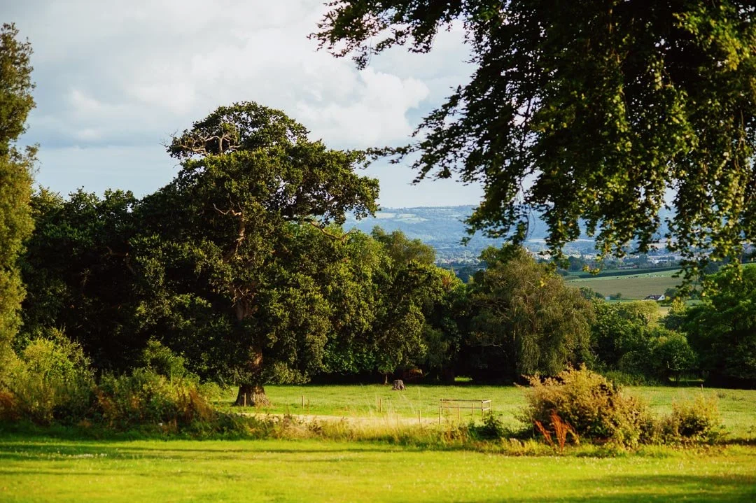 woods and fields during sunset with white clouds, hestercombe house