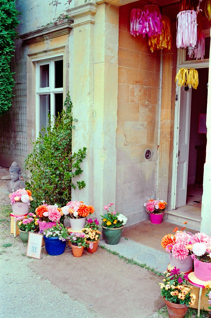 Colorful flower pots with pink, orange, yellow, and white flowers are arranged outside an entrance to a building. There are pink, purple, and yellow hanging decorations above the doorway. A small Buddha statue is visible beside a green shrub, and a Q