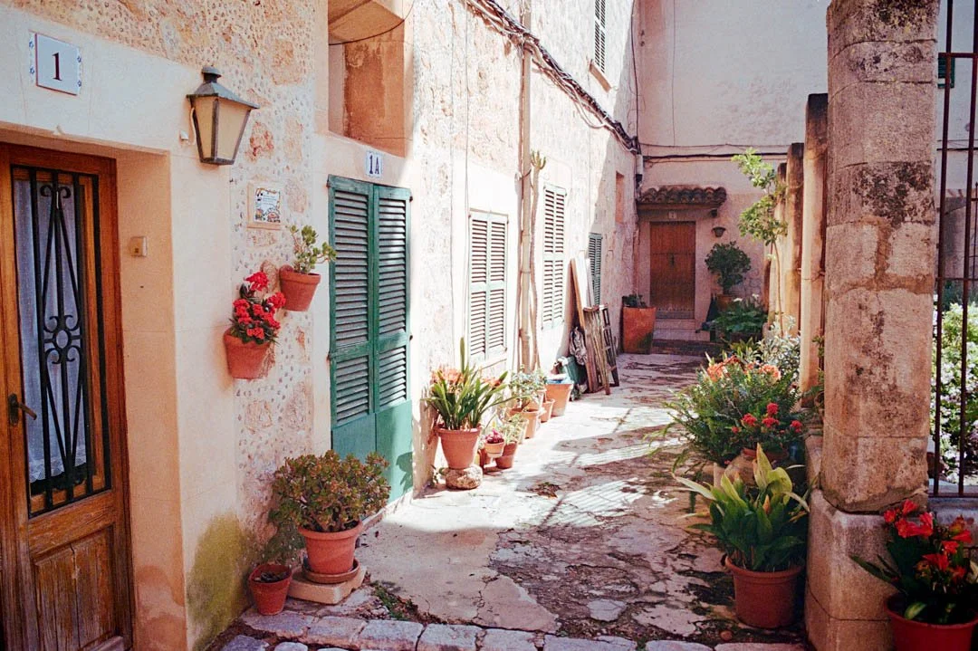 Floral gardens in Valldemossa