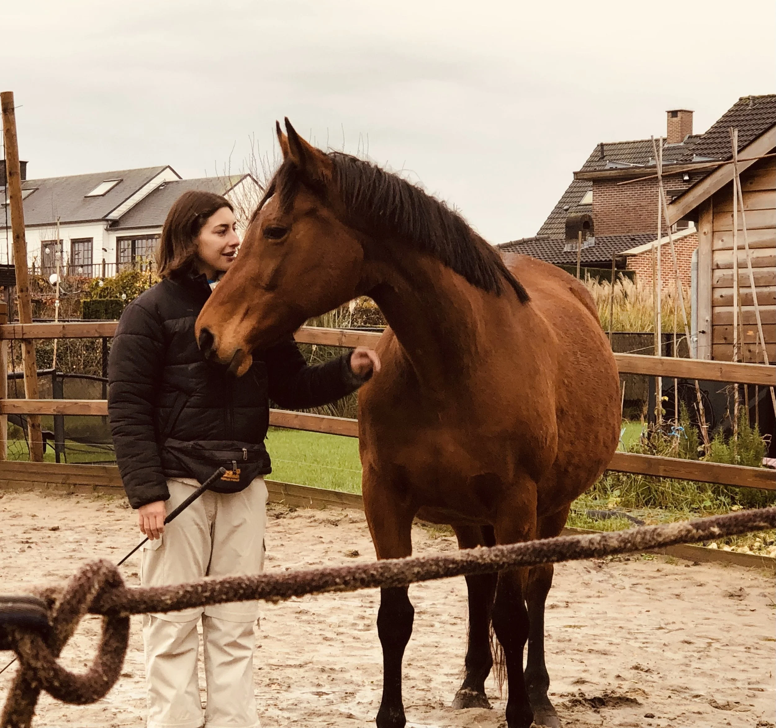 Vrouw die haar hand uitstrekt naar een bruin paard in een zandbak, omringd door houten hekken, met huizen en een tuin op de achtergrond.