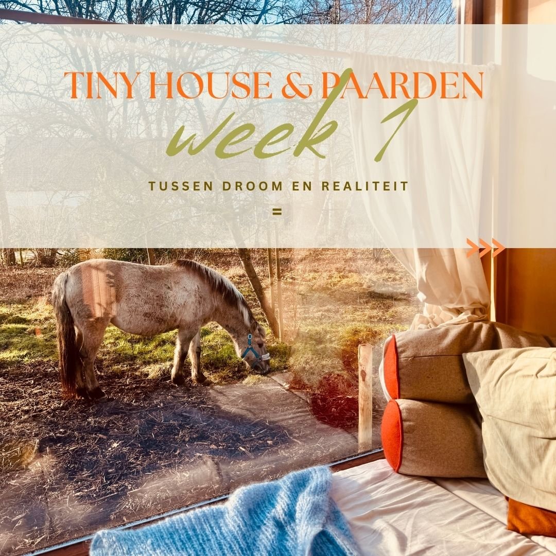 Ik weet dat dit allemaal normaal is.
Dat paarden elkaar in het begin aftasten.
Dat ze apart staan.
Dat dit tijd nodig heeft.

En toch&hellip;
kan je, wanneer een droom eindelijk landt,
even gevangen raken
in een na&iuml;ef verlangen
dat alles meteen 