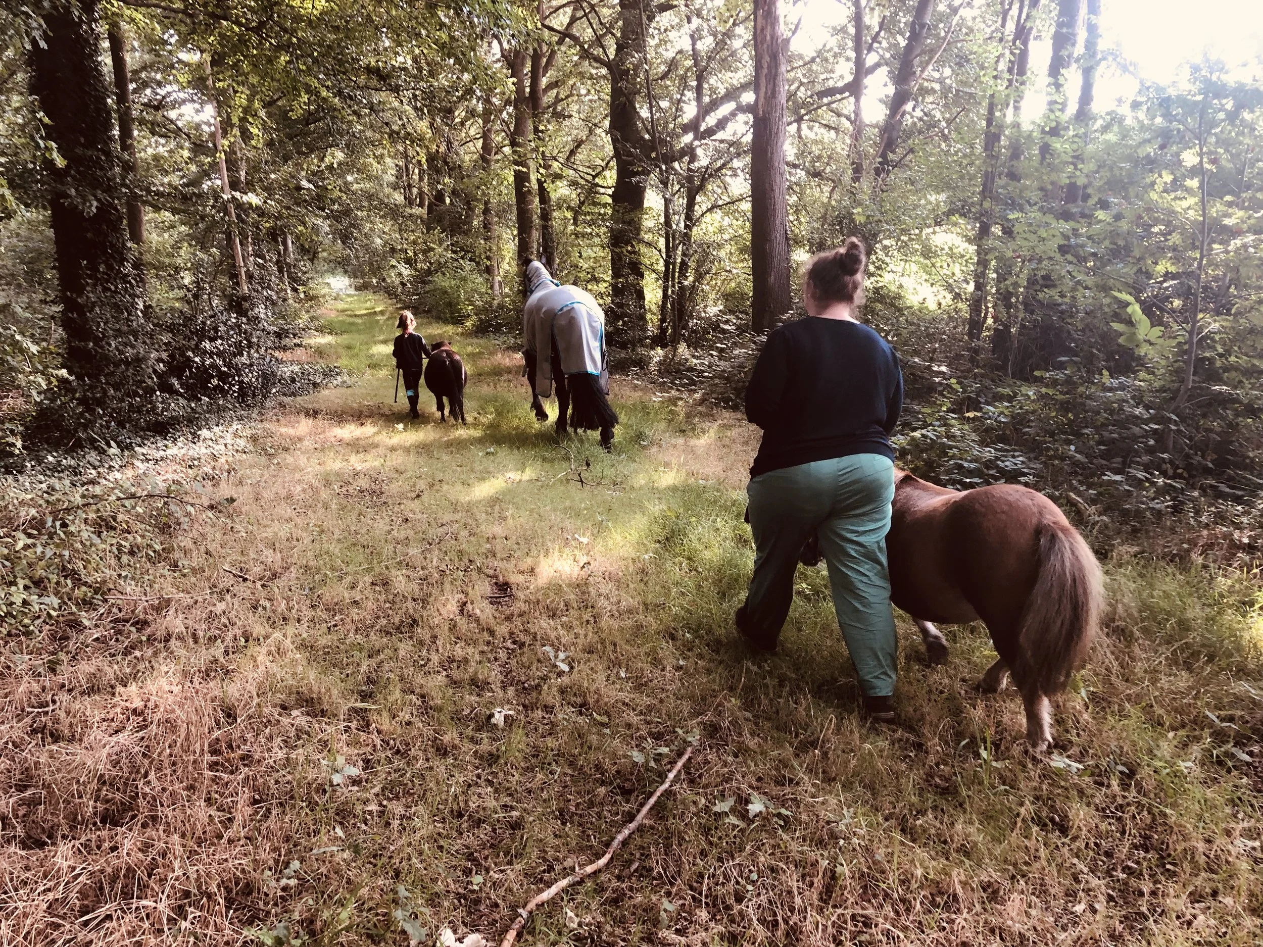 Vier mensen wandelen met pony's door een bos, trotseren de paden onder een bladerdak van bomen.