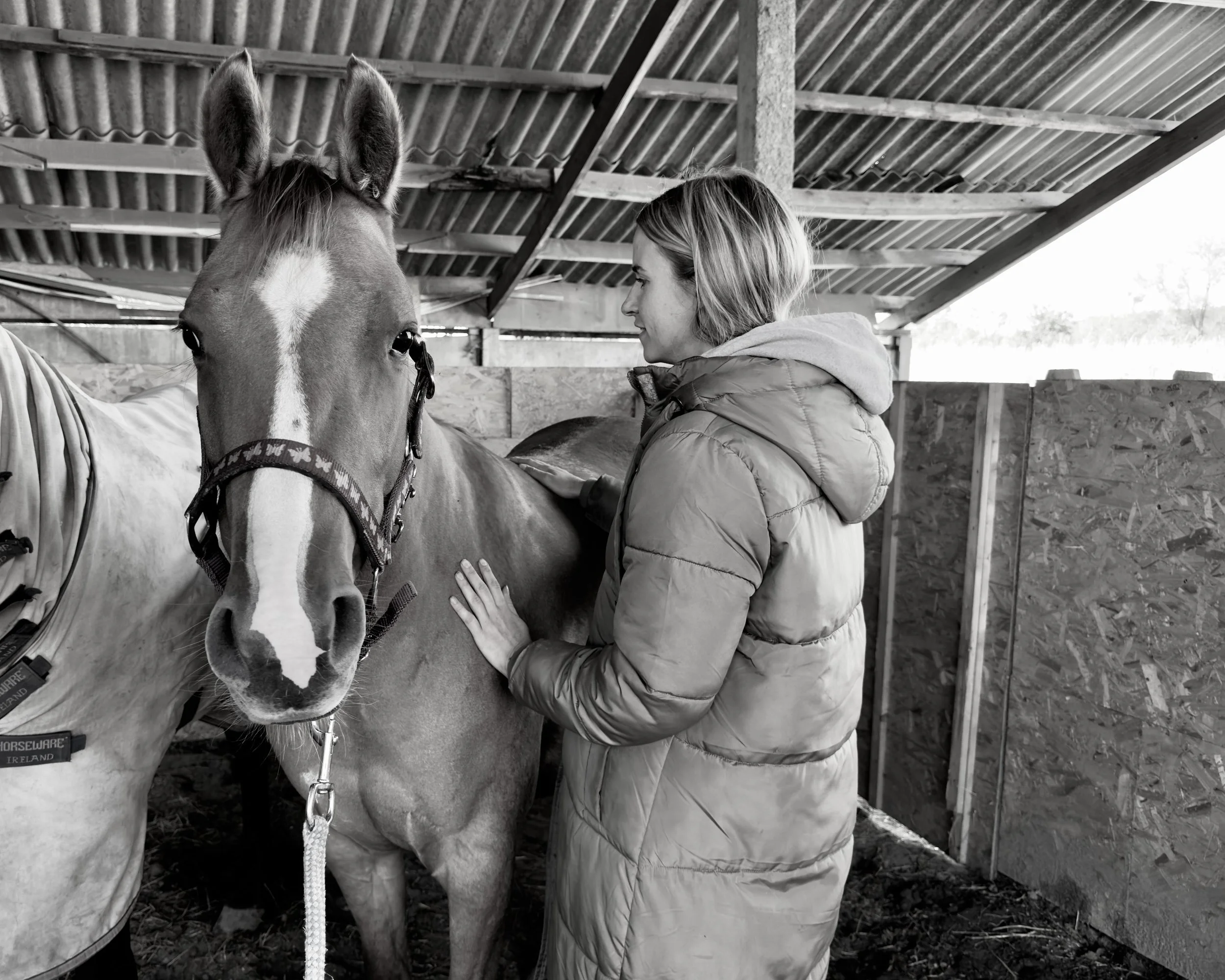 Vrouw aait een paardenrug in een staldebouw.