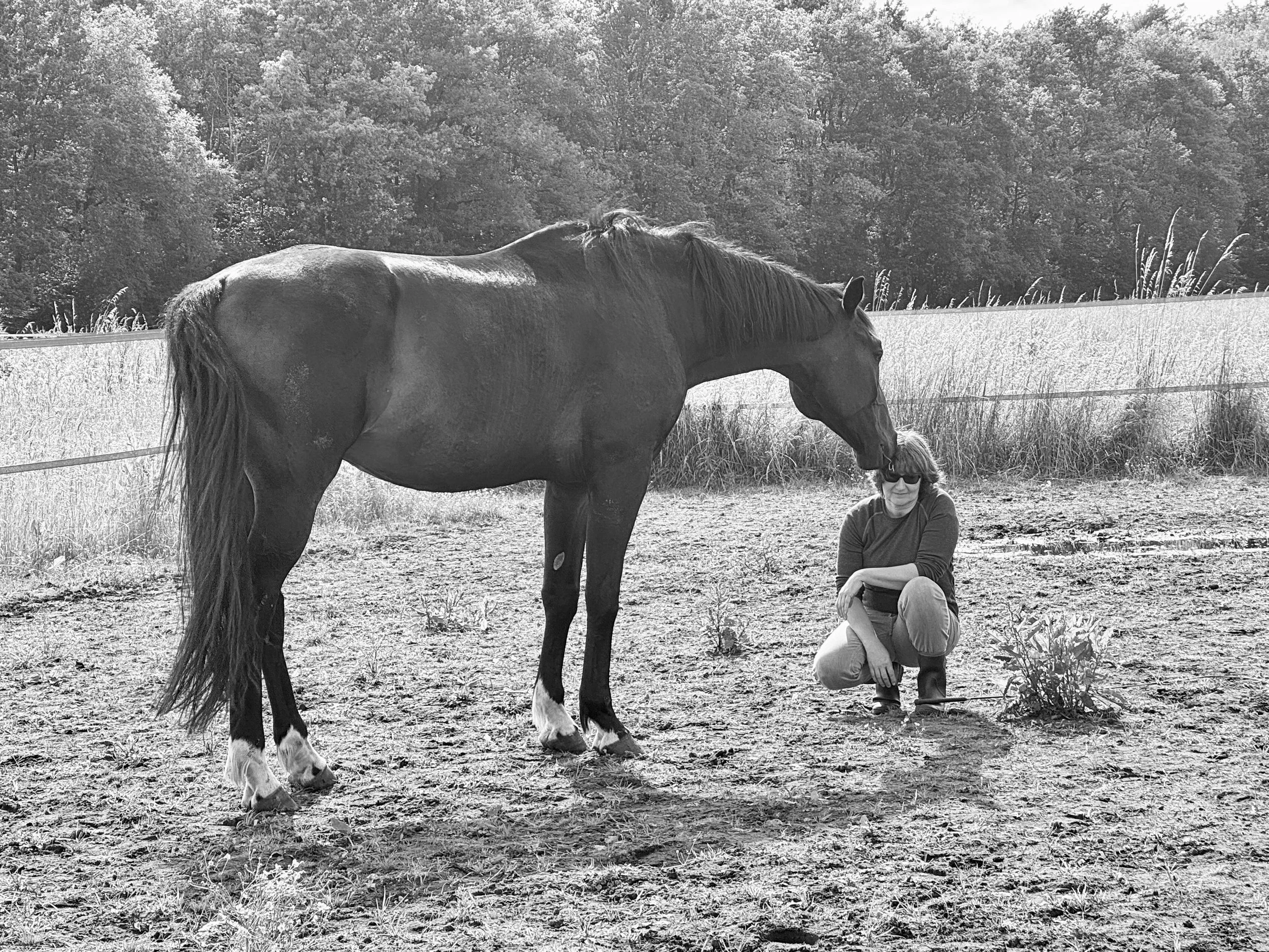 Een vrouw met donkere haar en een zonnebril knikt ter hoogte van een paard in een weiland, met dichte bomen op de achtergrond.