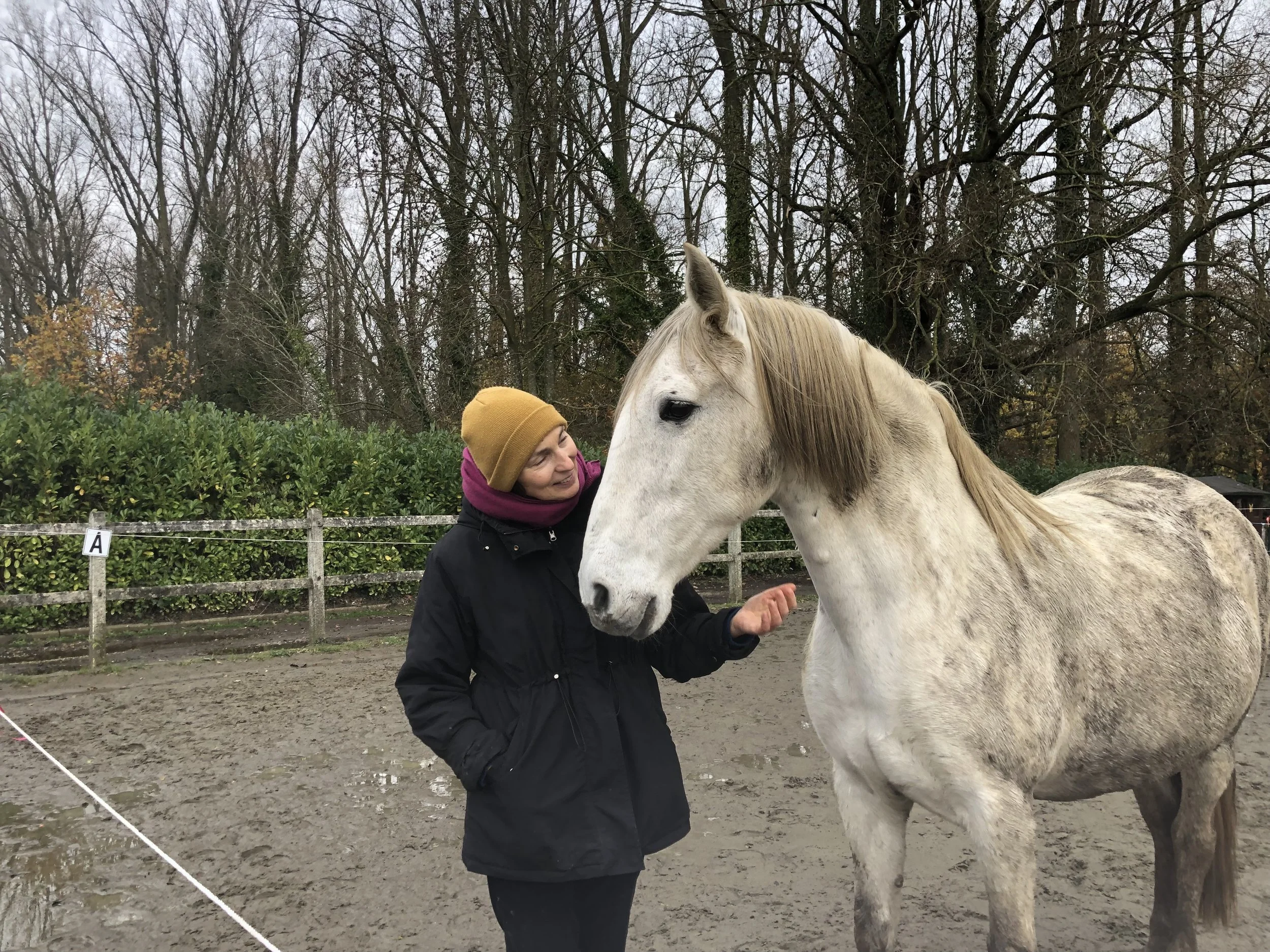 Vrouw die een wit paard aait in een buitenbak met omringend groen en bomen