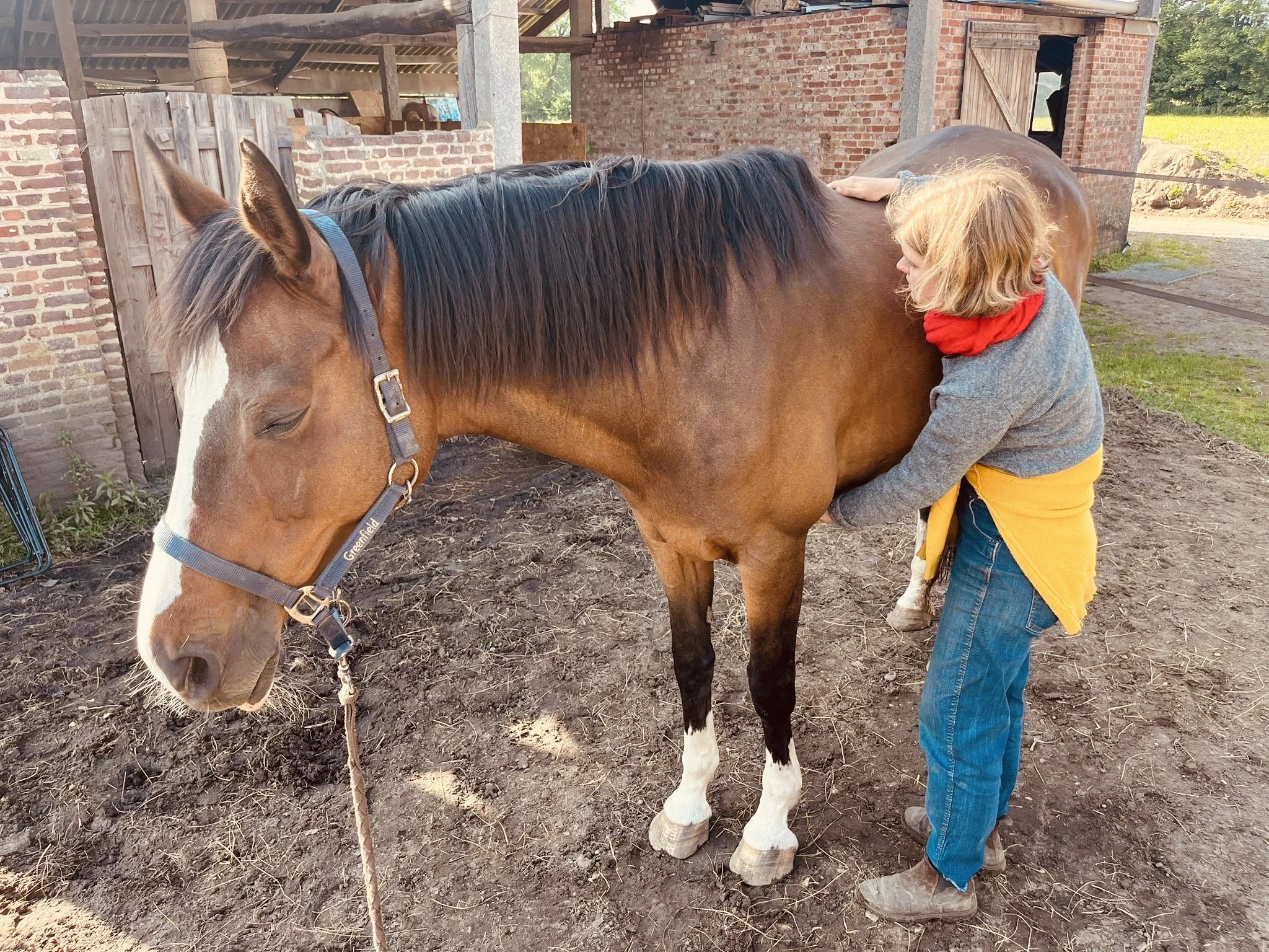 Een persoon met blond haar die een paard borstelt op een boerderij.