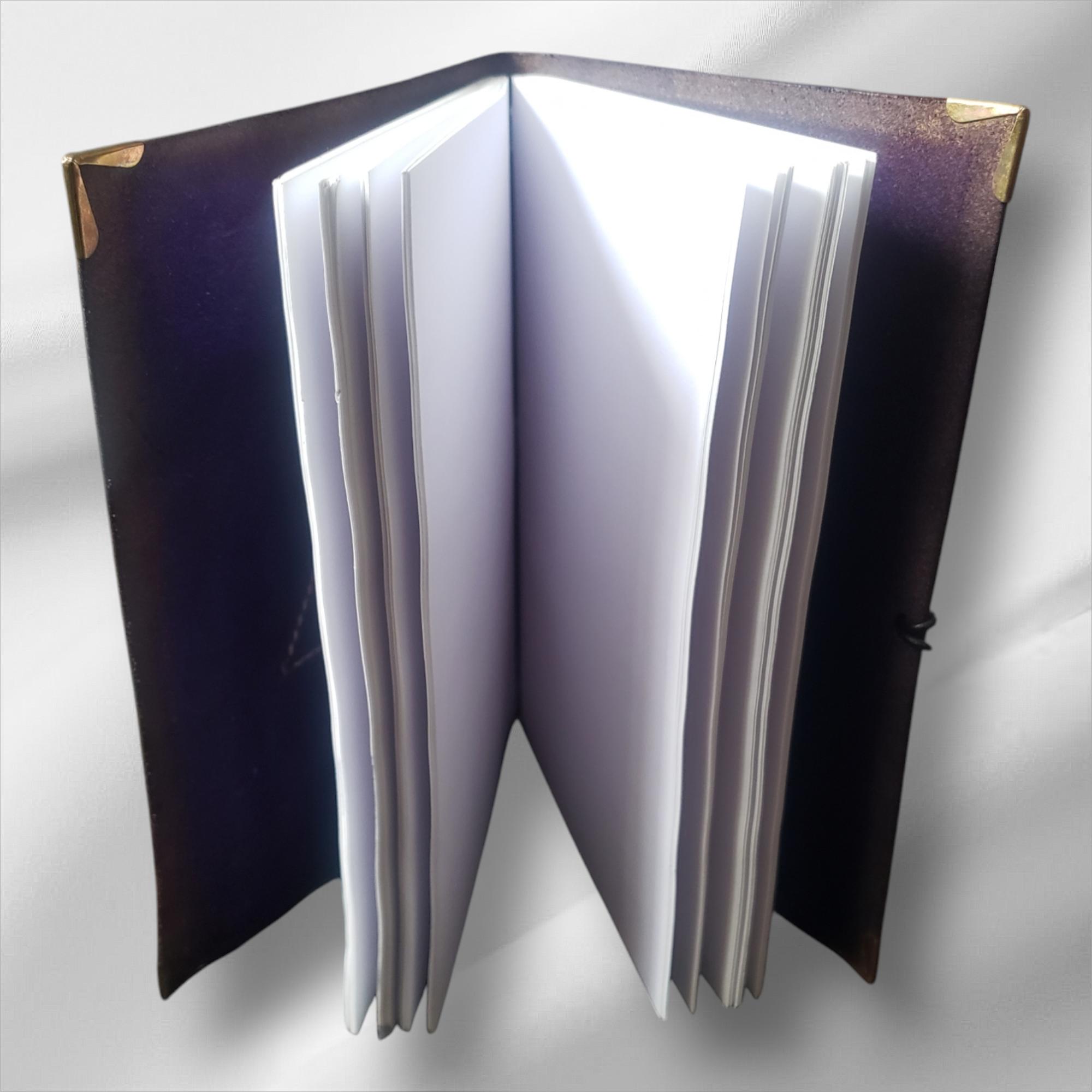 Photoroom-20250130_130512.png