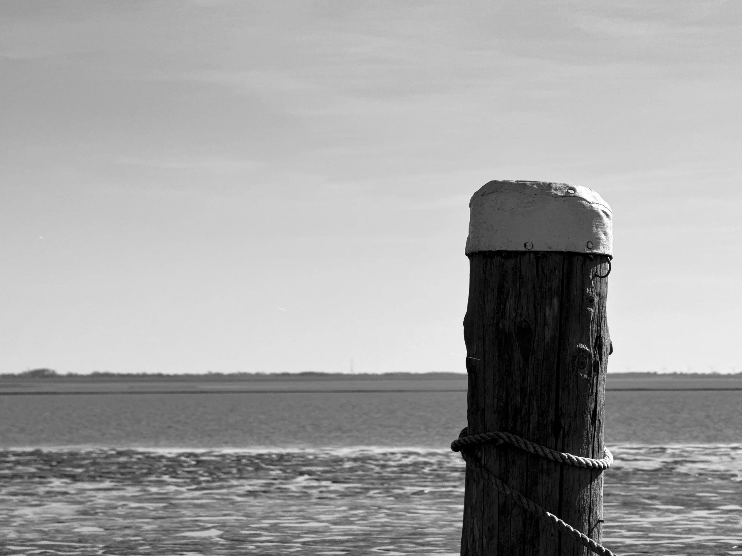 IMG_9510.jpg