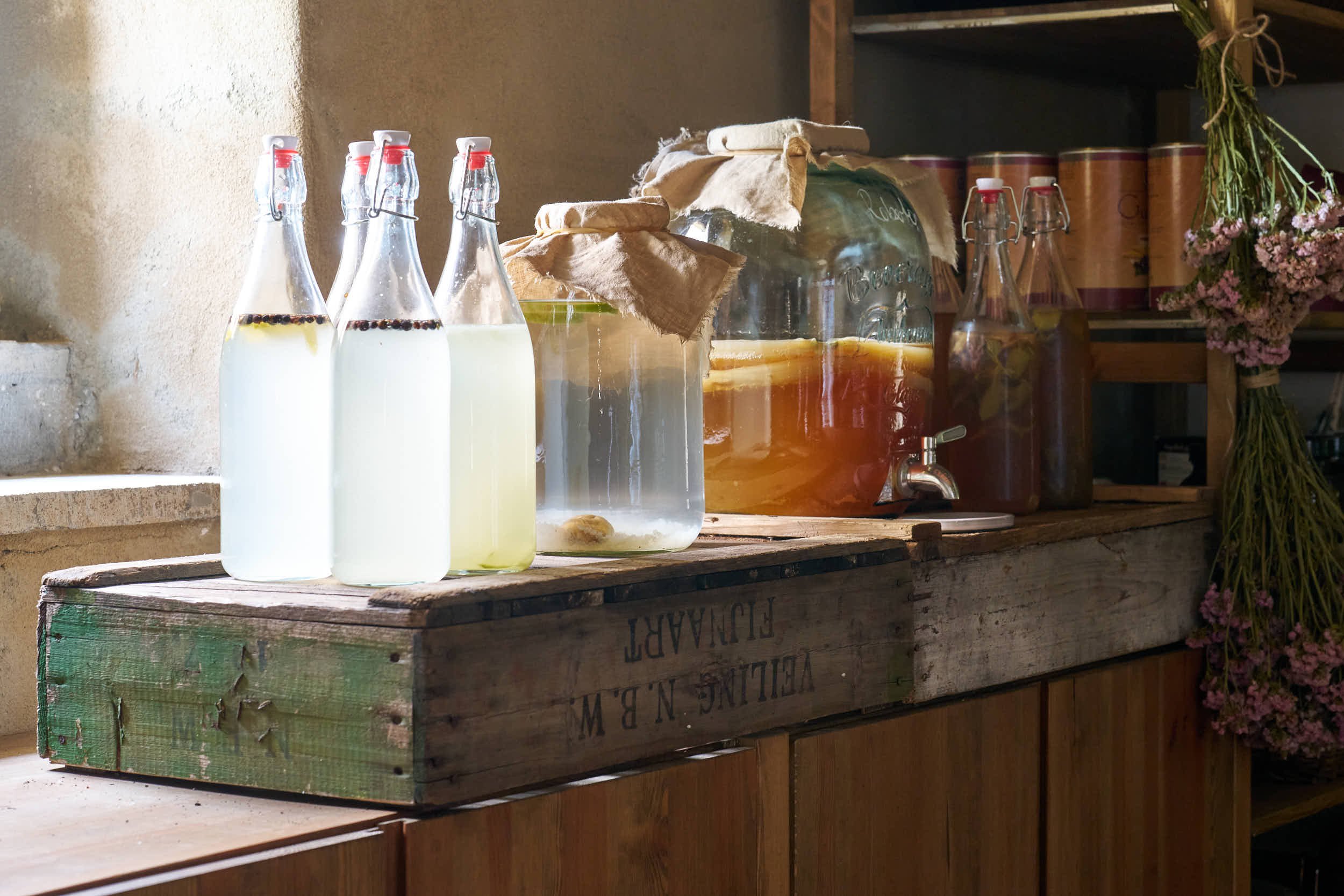 fermentierte-getränke-wasserkefir-kombucha-workshop.jpg