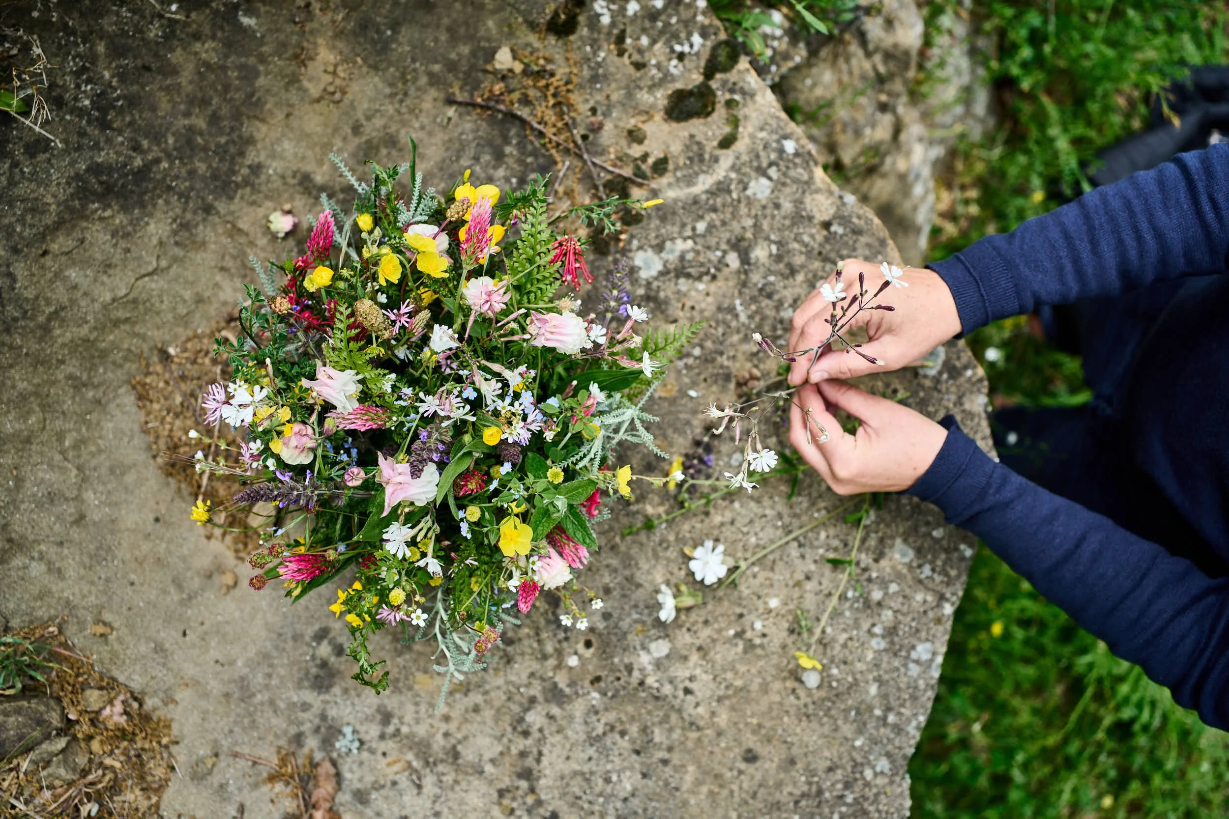 bunte-blumen-feld-natur-italien-arezzo.jpg