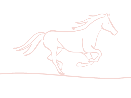 Outline drawing of a running horse with a flowing mane and tail, on a minimalistic ground line.