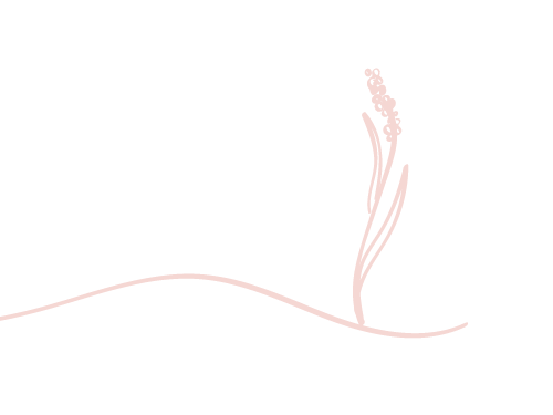 Simple line drawing of a small plant with a few leaves and a cluster of flowers on a hill.
