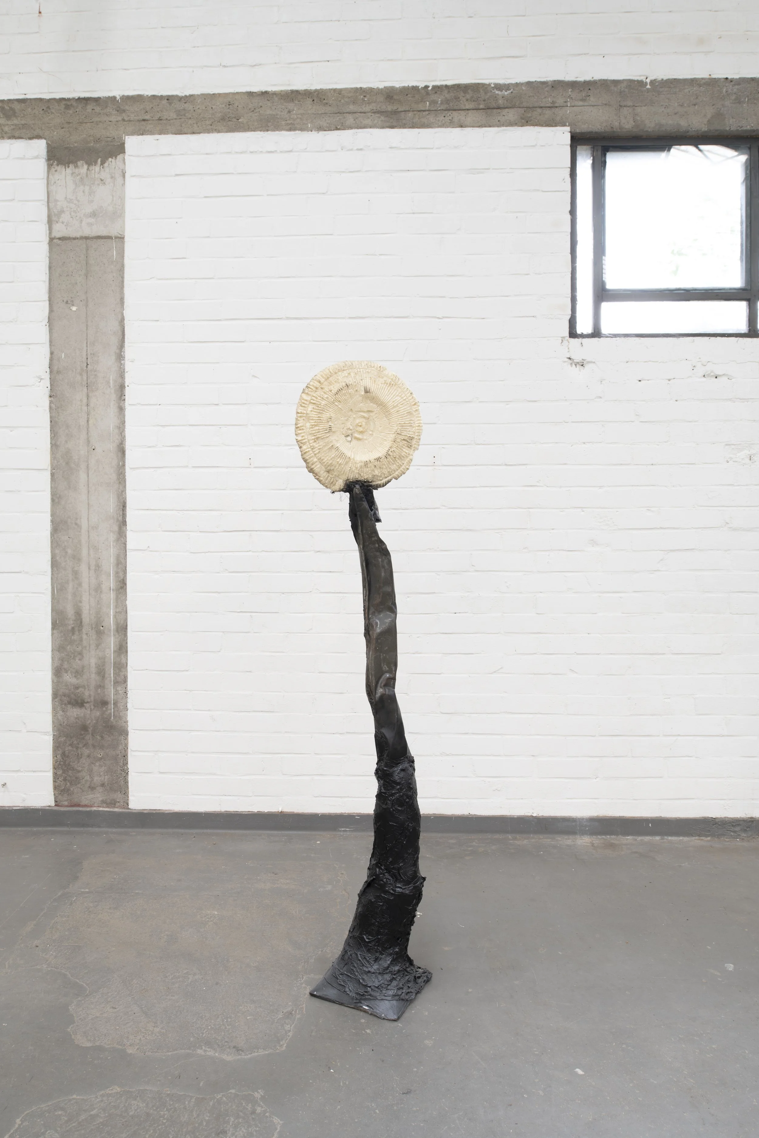 c)Sander Van Damme-57.jpg