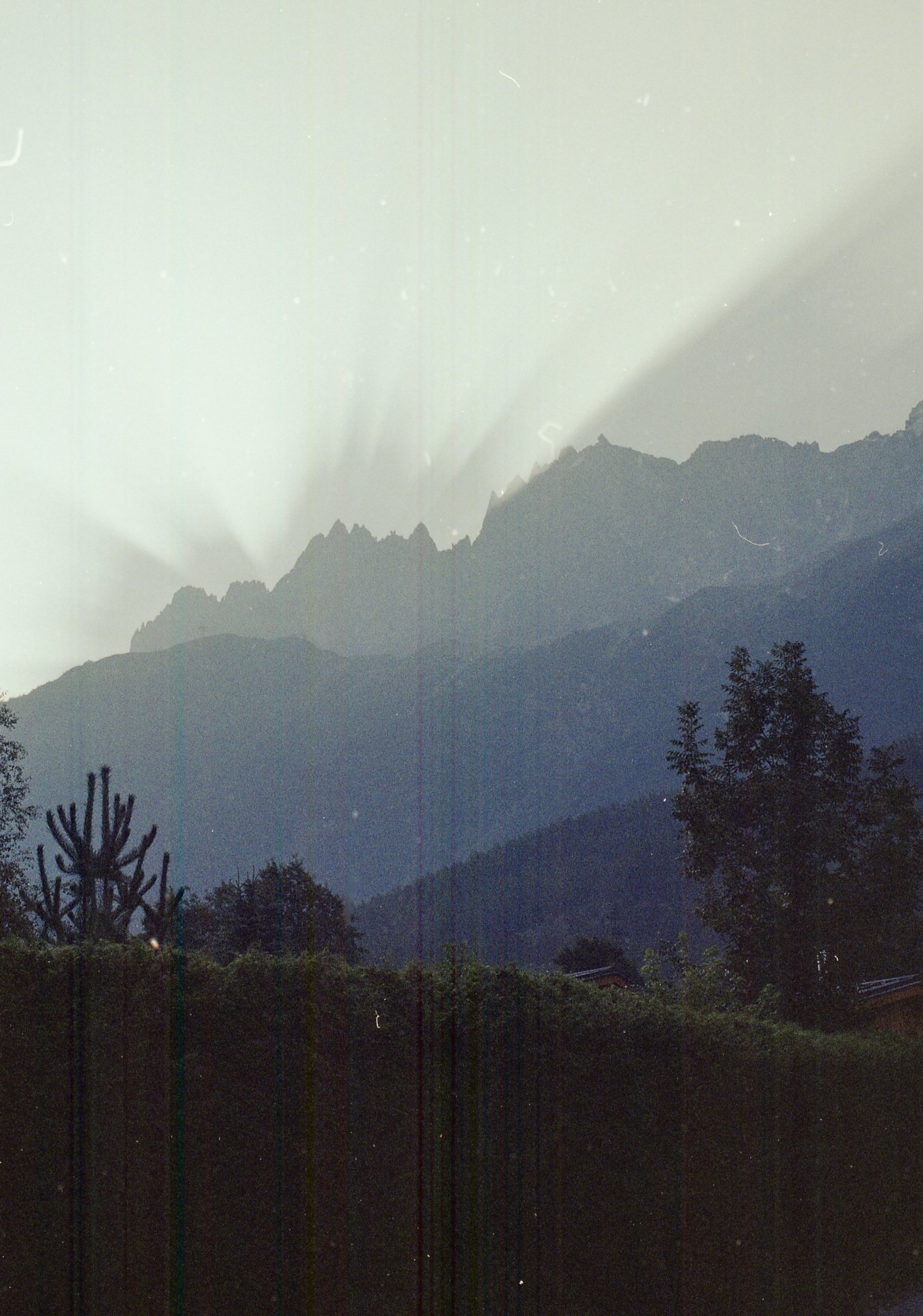 (c)Sander Van Damme-8.jpg