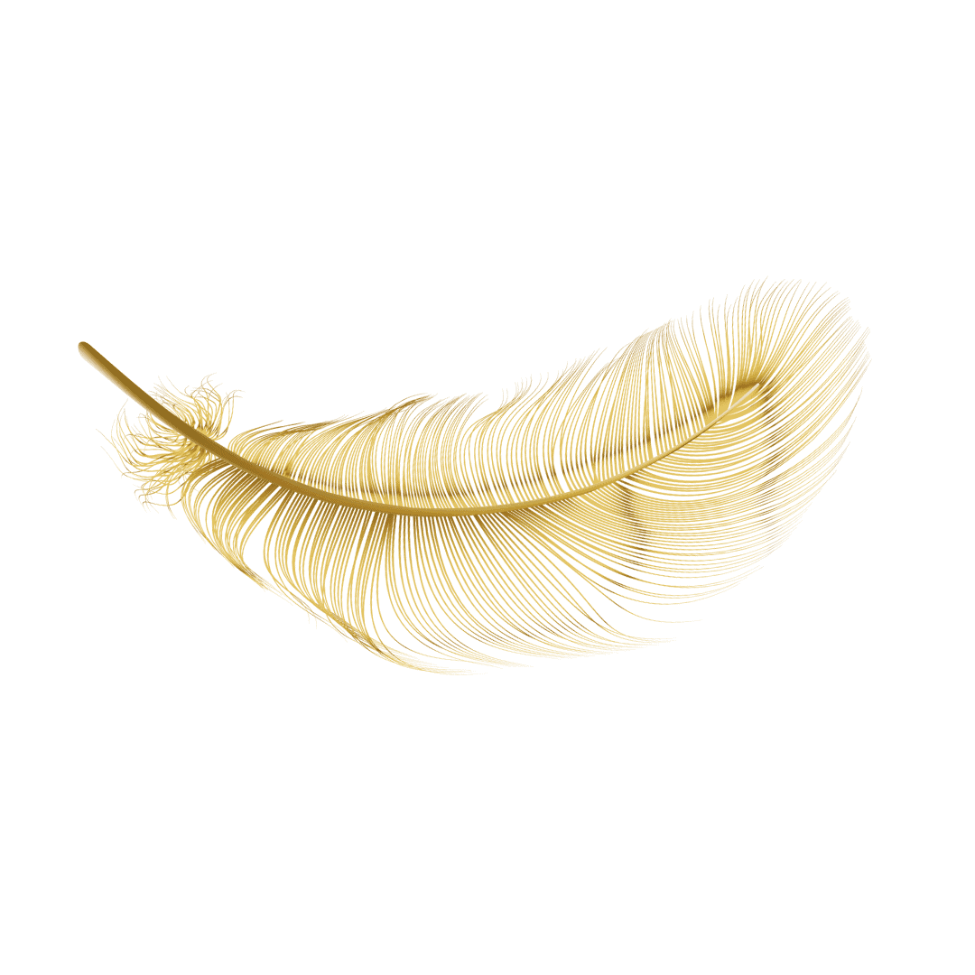 Goldene Feder als Symbol für Leichtigkeit, Sanftheit und Transformation im Seelenkraft Raum Nesselwang. Sie steht für Heilung, Energiearbeit, innere Ruhe und die Verbindung von Körper, Geist und Seele.