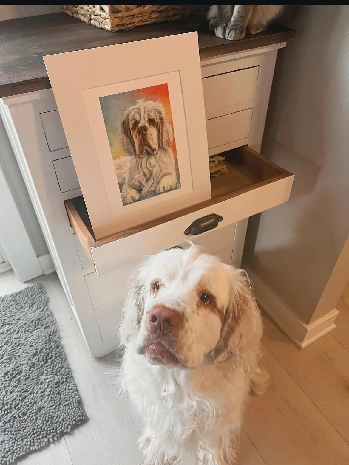 Look at this absolute doll baby I got to do a portrait of this week! (Swipe for portrait) Have you ever seen a more squishy smooshable face than @mose_and_friends ?! Thank you, dear friend @just.shauna.marie for letting me do the honor of recording h