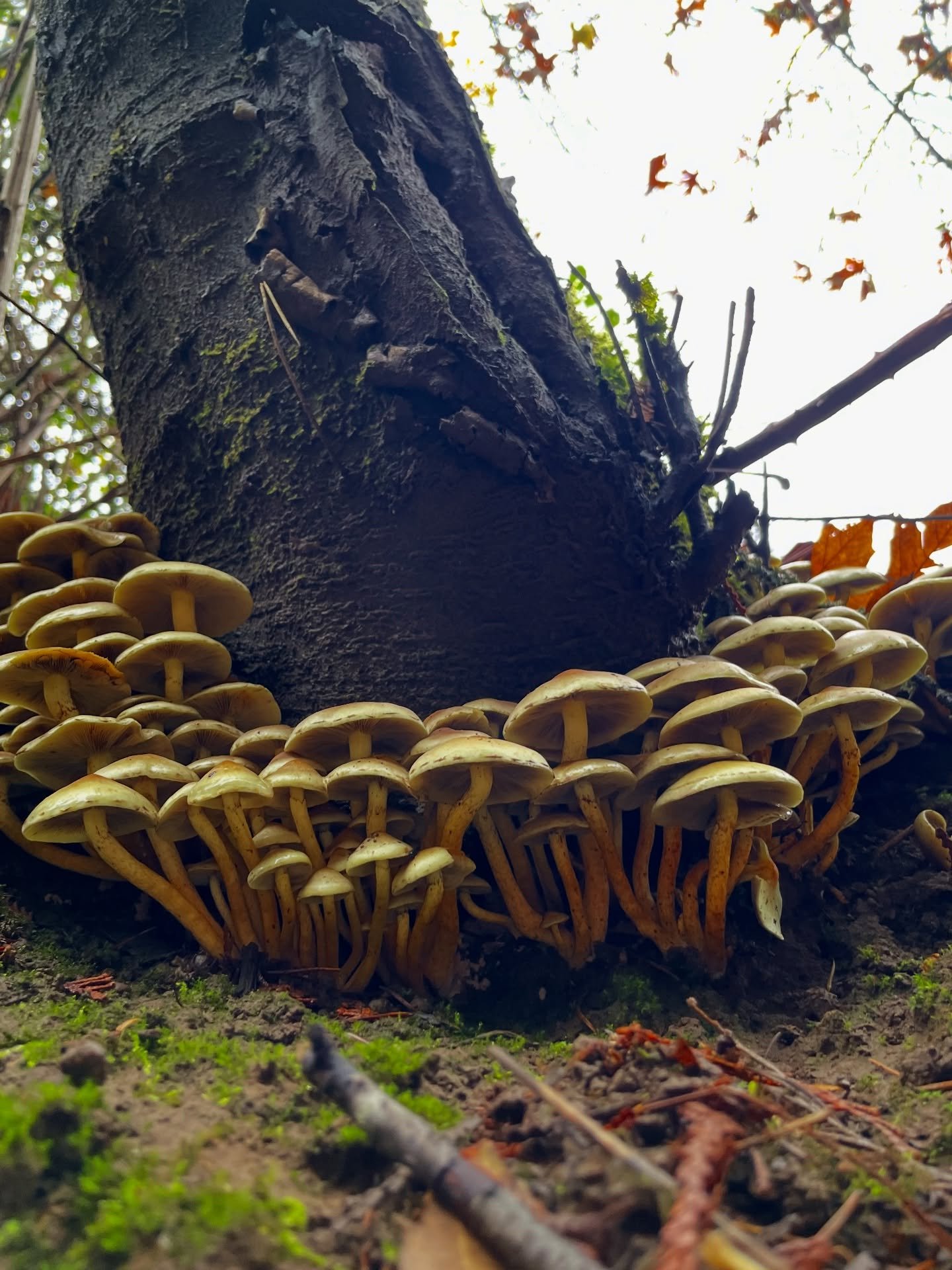 Trailside fun guys. 🚶&zwj;♀️🦮🐕&zwj;🦺