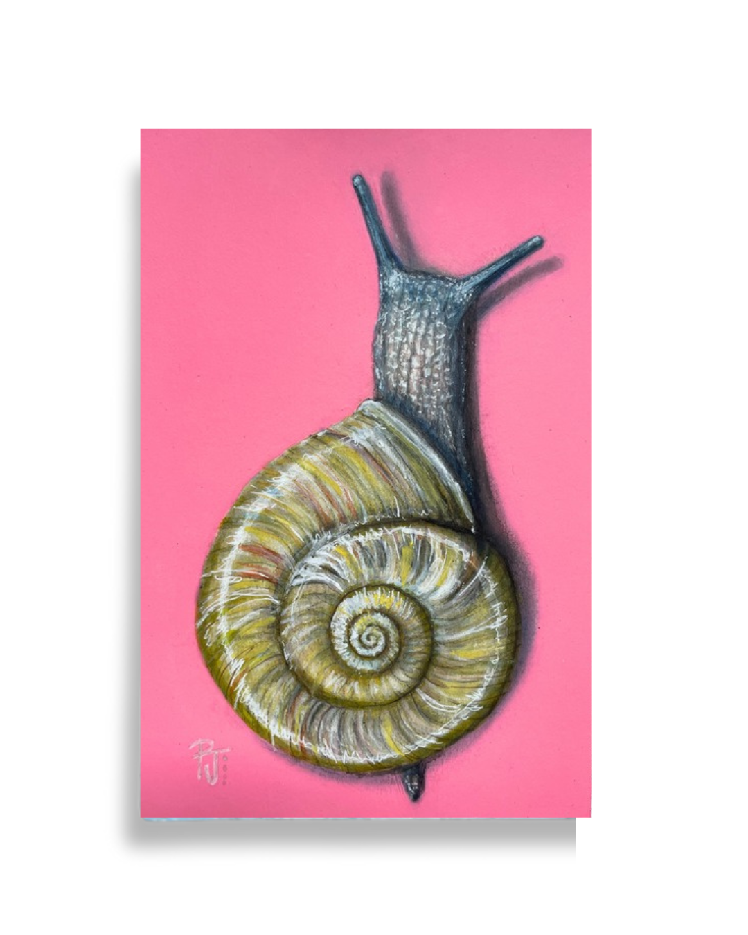 5 x 7 watercolor, colored pencil, gouche