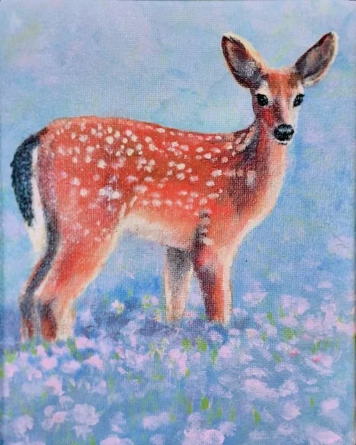 spring-fawn3 Medium.jpg